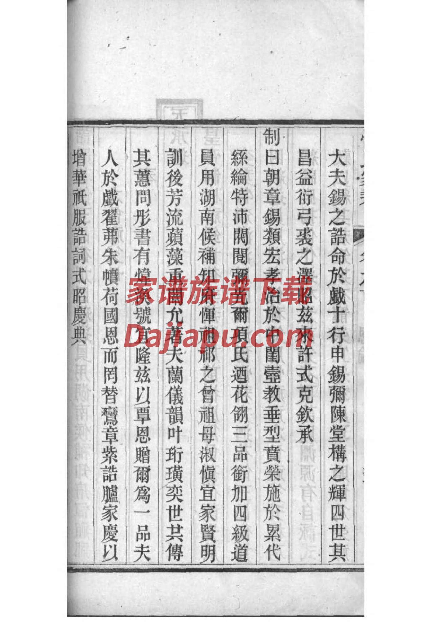 妫氏族谱在哪里看