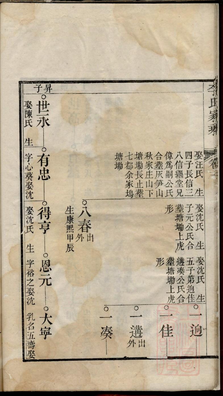 专业编写出版家谱