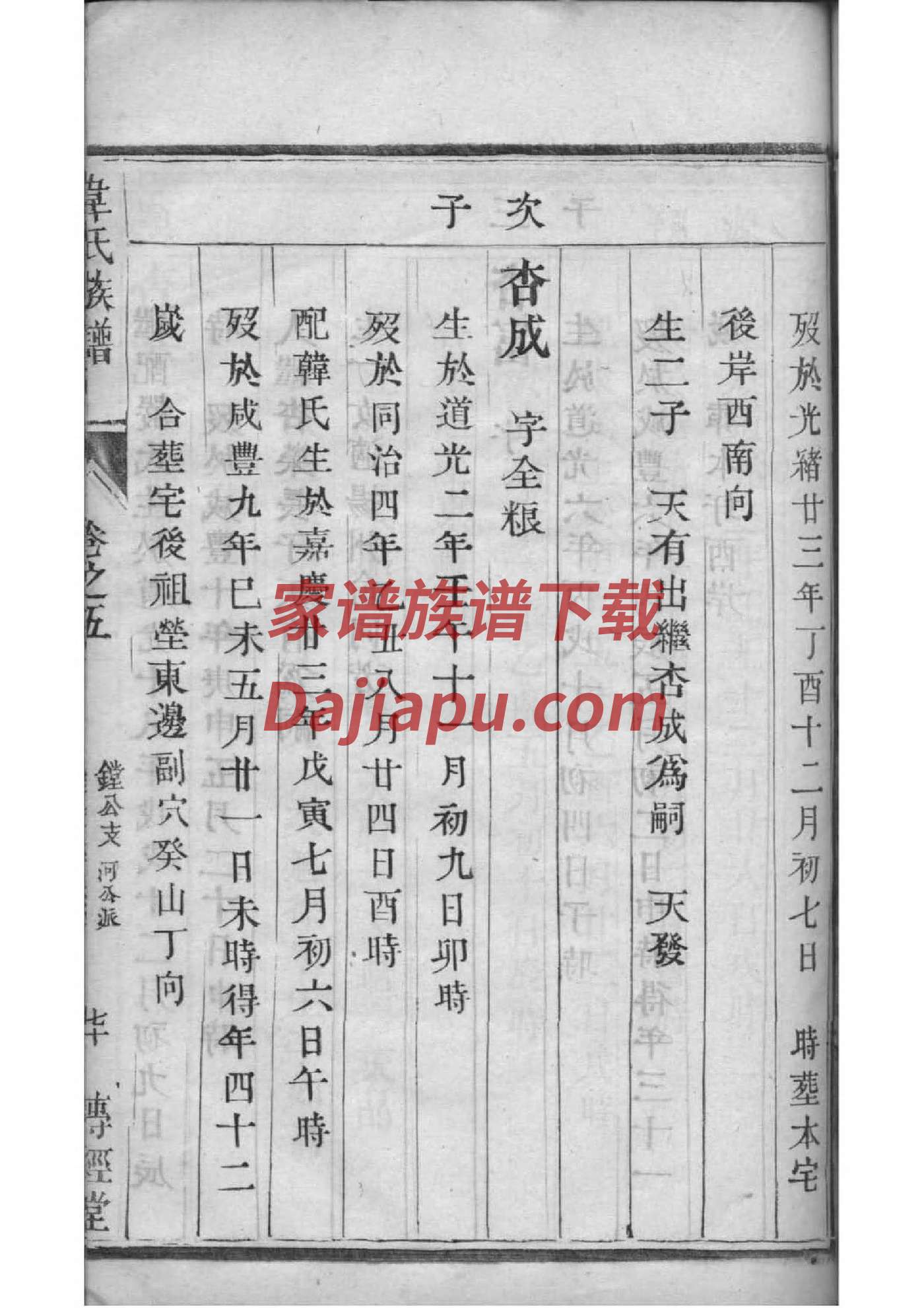 职氏免费查家谱族谱