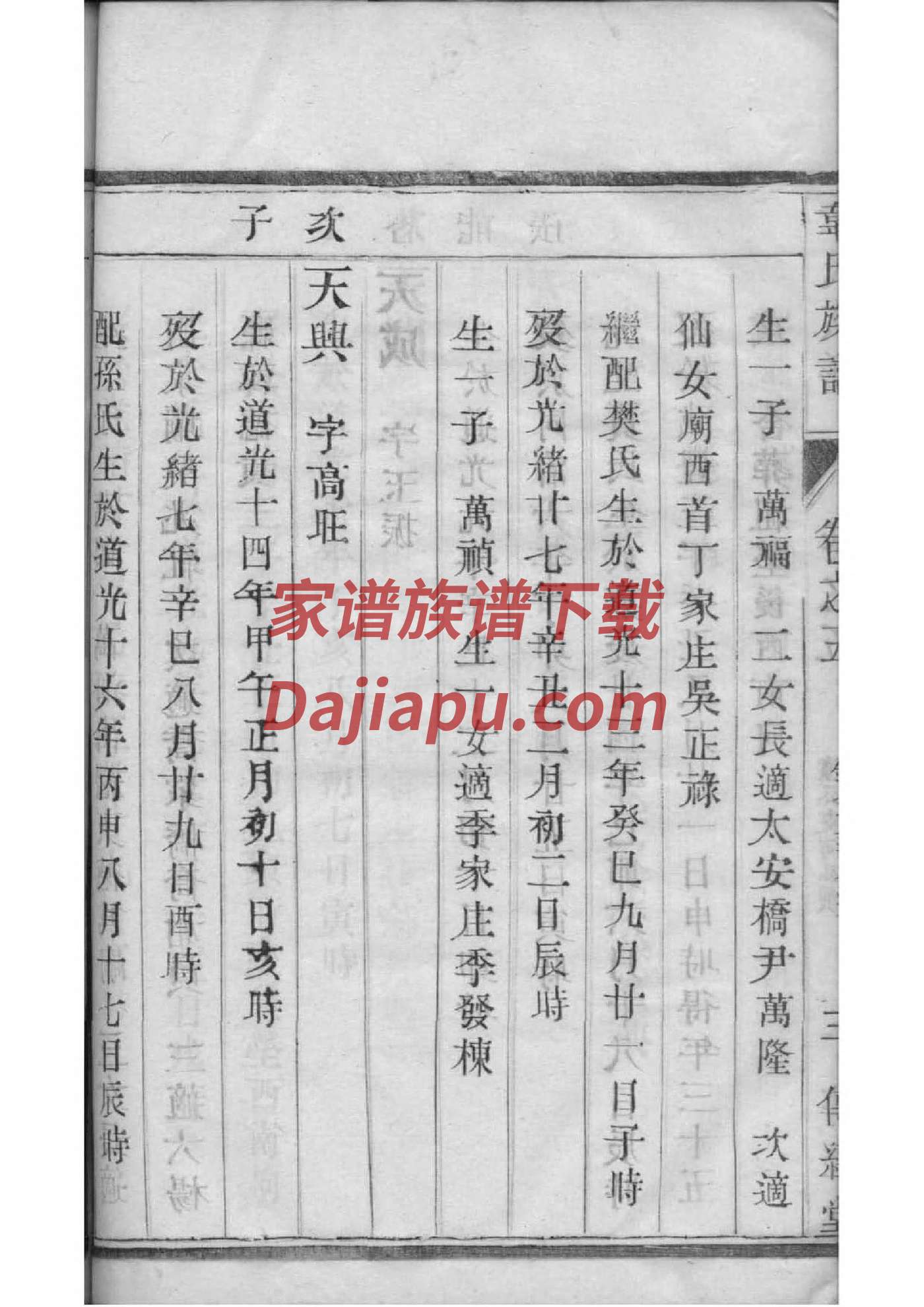 河南苏氏家谱