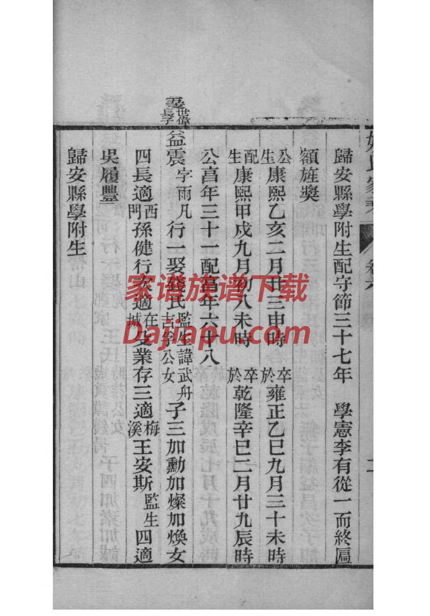 家谱制作教程儿童