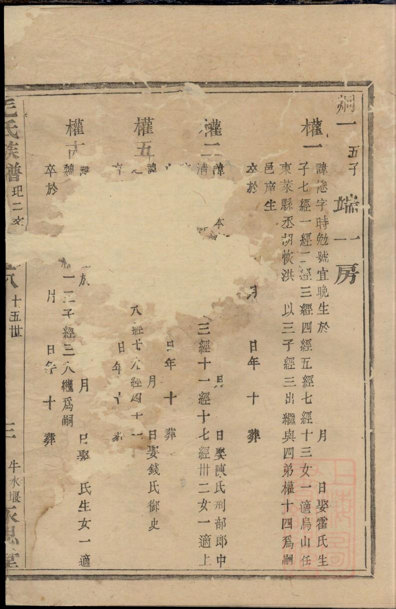 杨家族谱