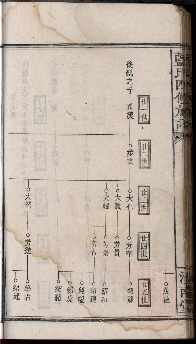 家谱编写书籍