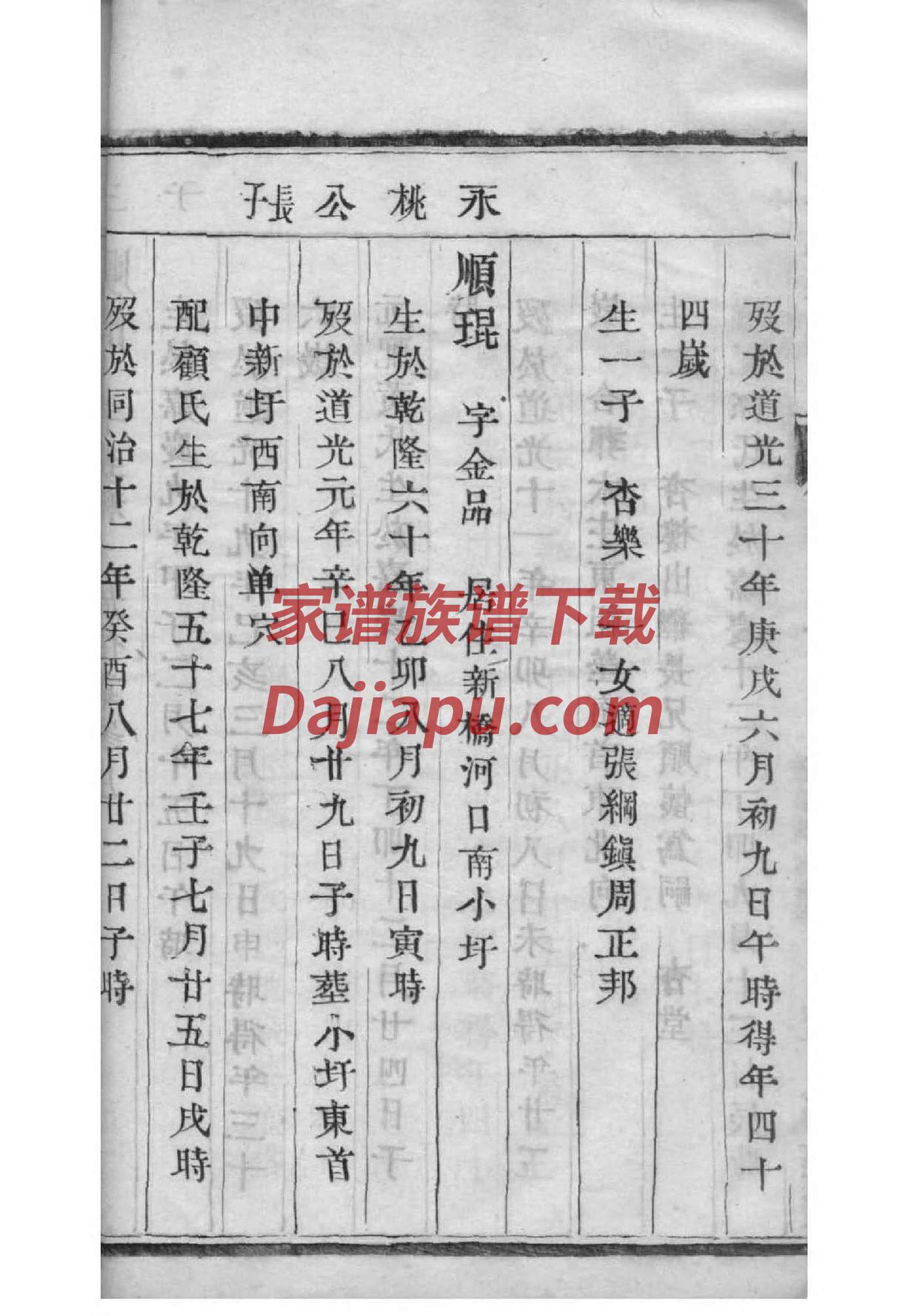 危姓族谱字辈查询全部