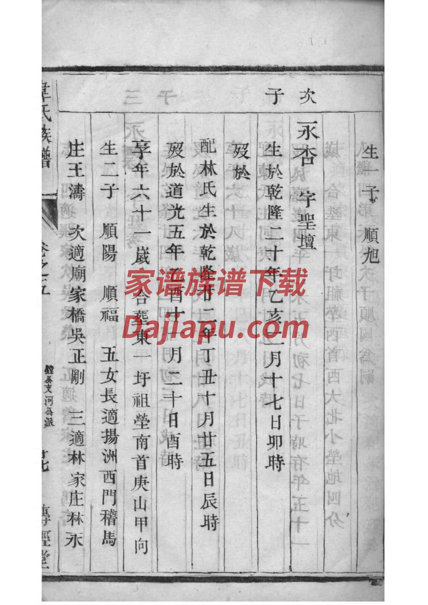 姓代家谱字辈