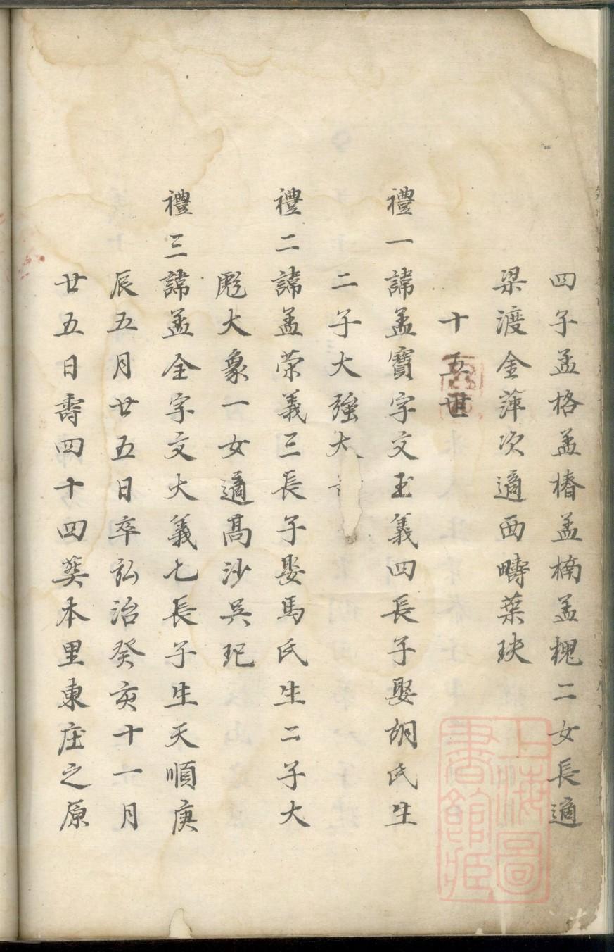 家谱包括哪些人