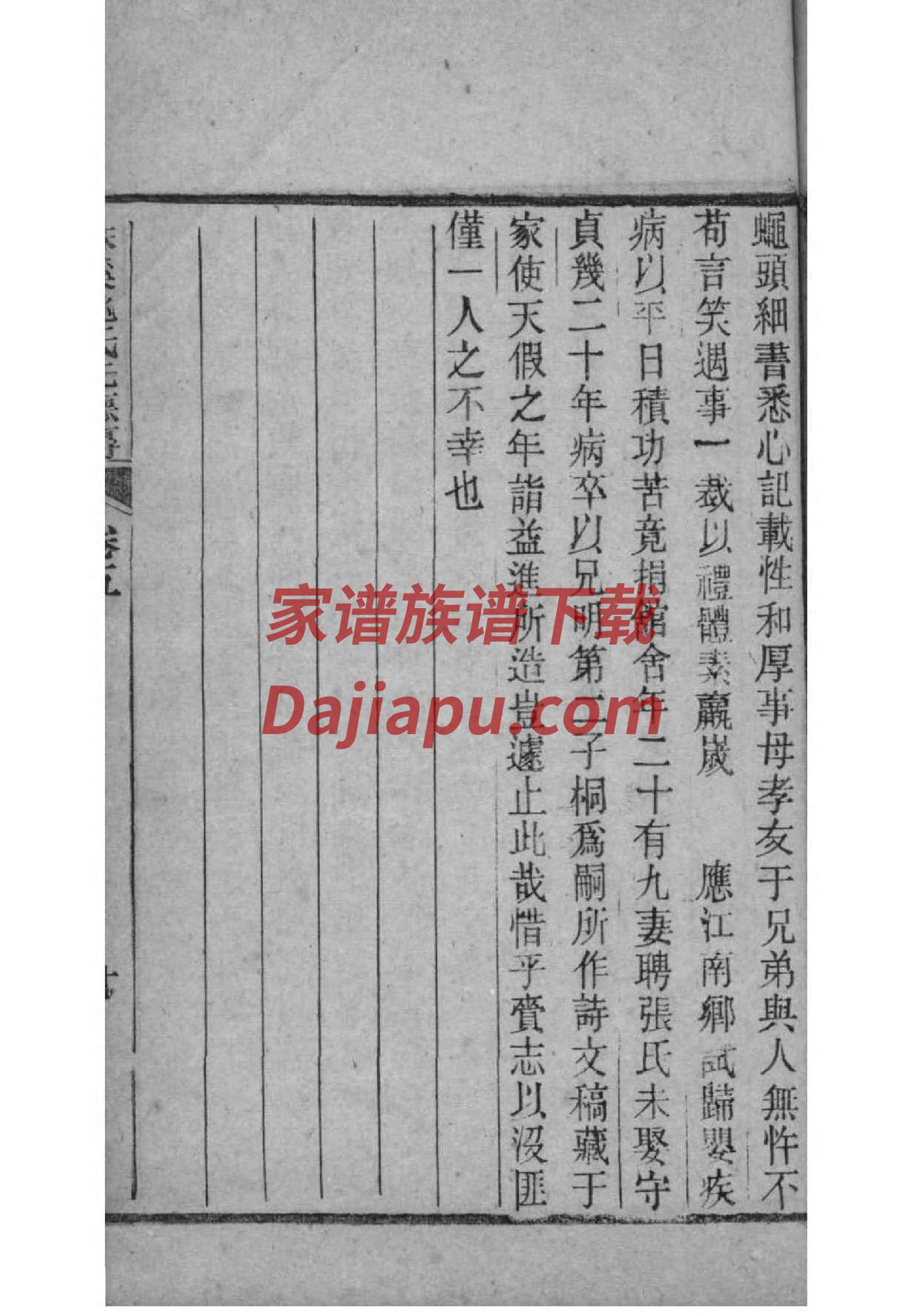 仁姓辈分排行世系表