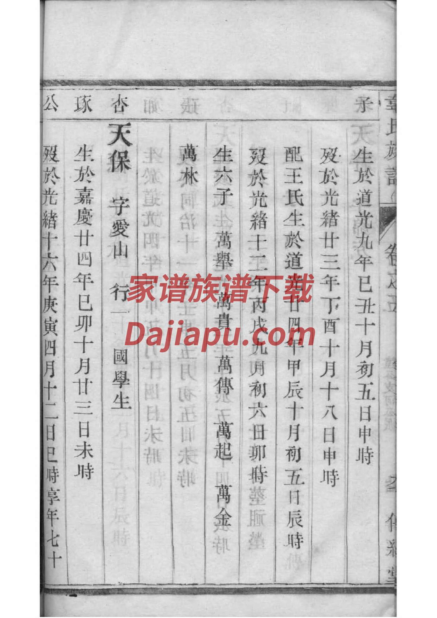 泰氏的起源