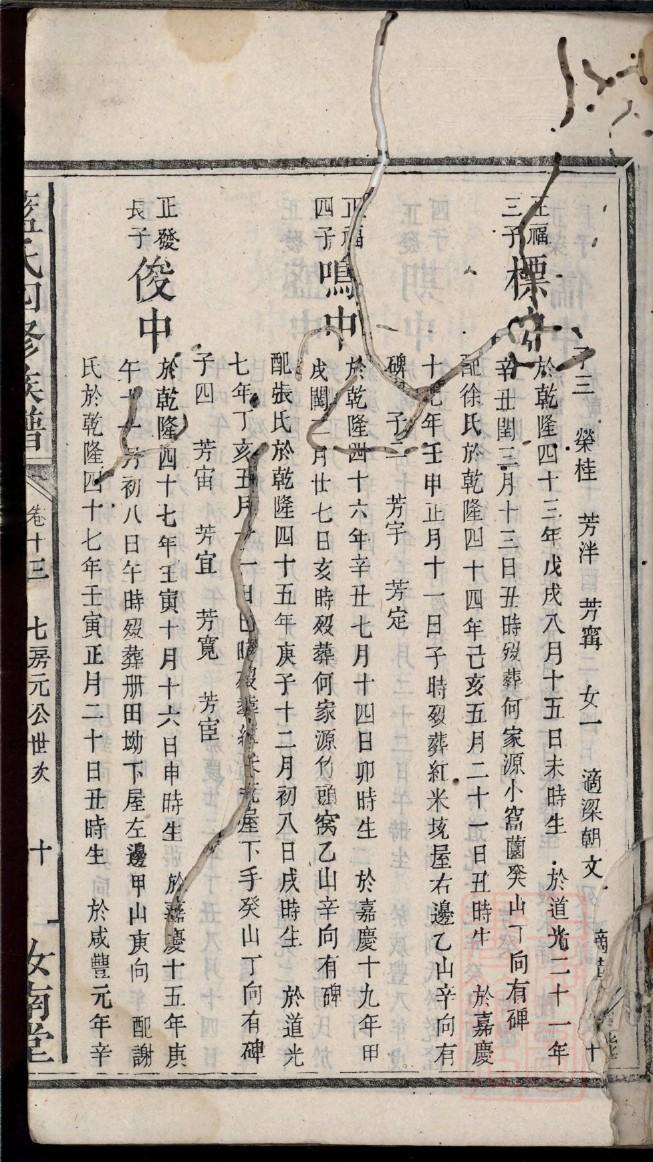 家谱样本图片高清大图