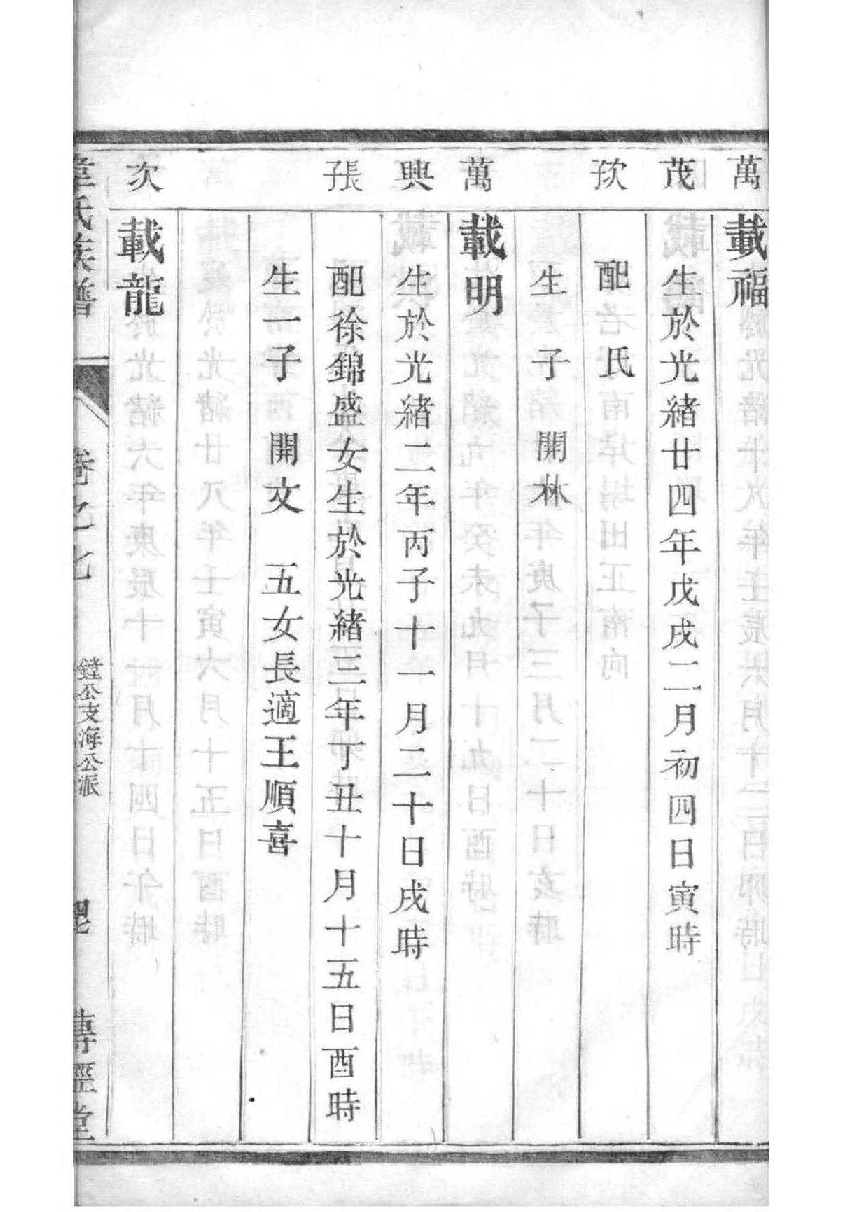 平面设计家谱设计