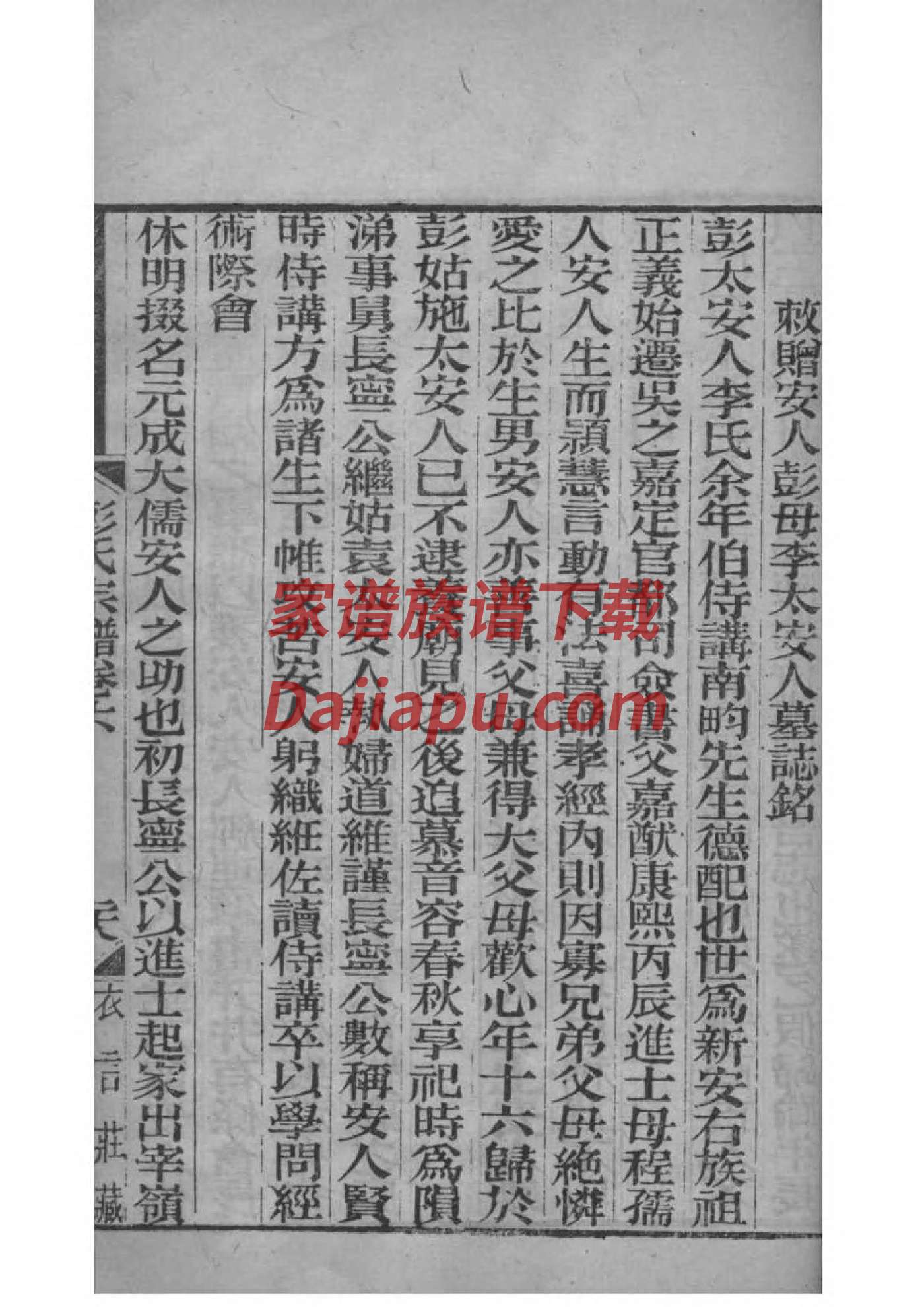 夏家谱浙江