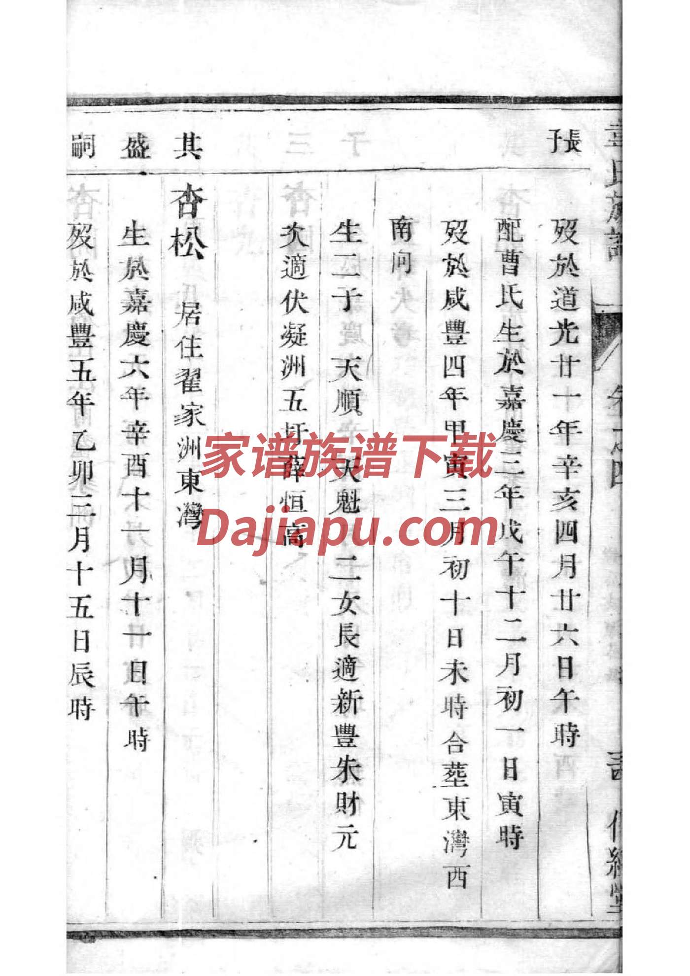 杨氏家谱100辈