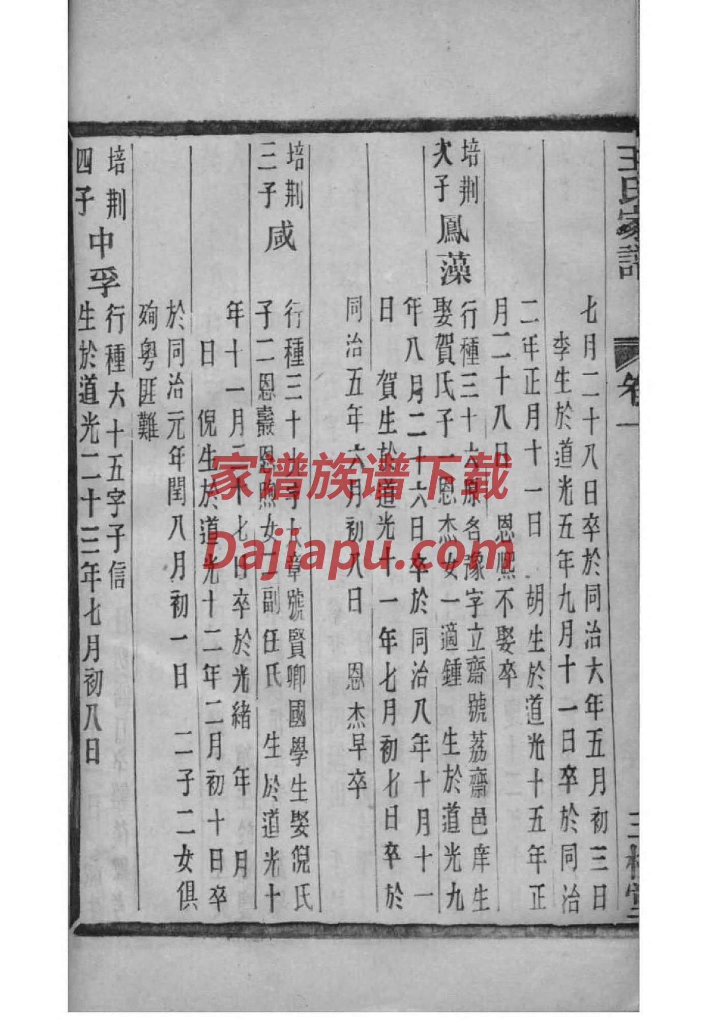 宗姓族谱字辈