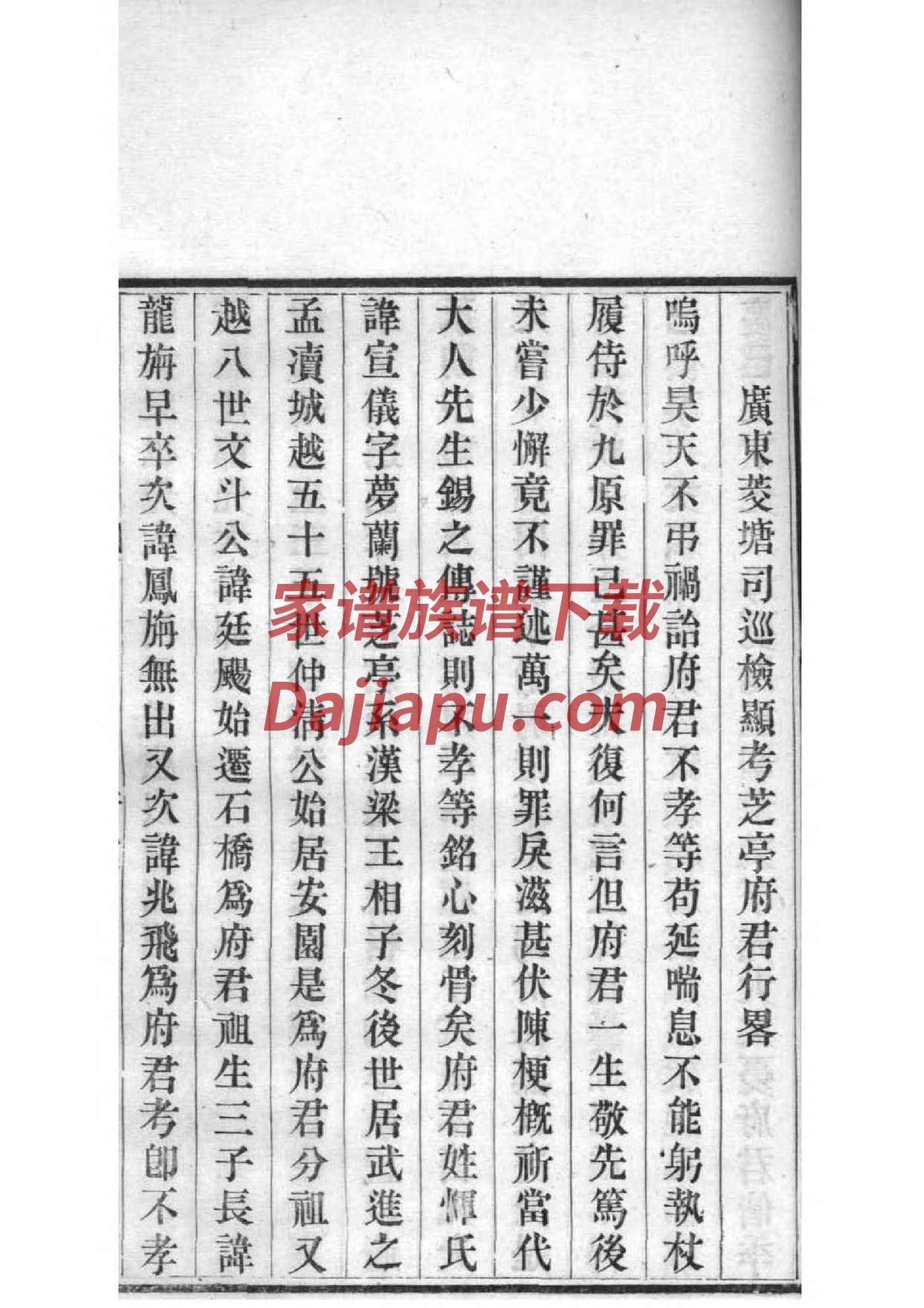 家谱模板下载WORD