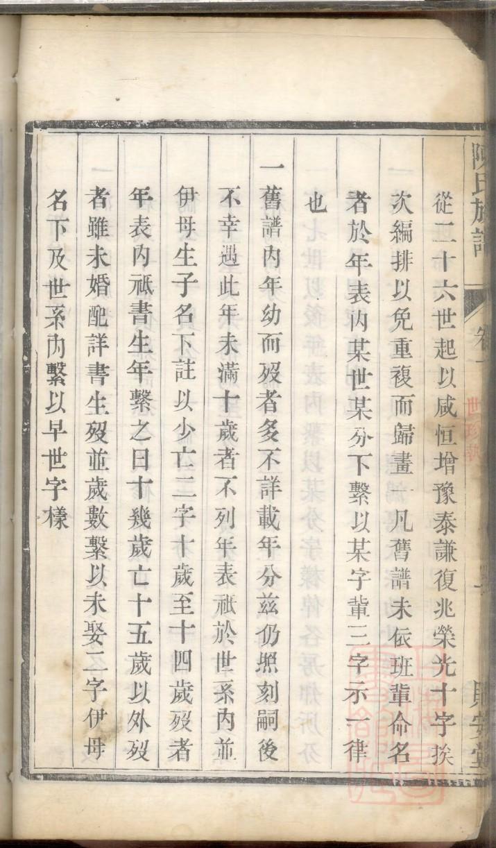 区氏族谱大号