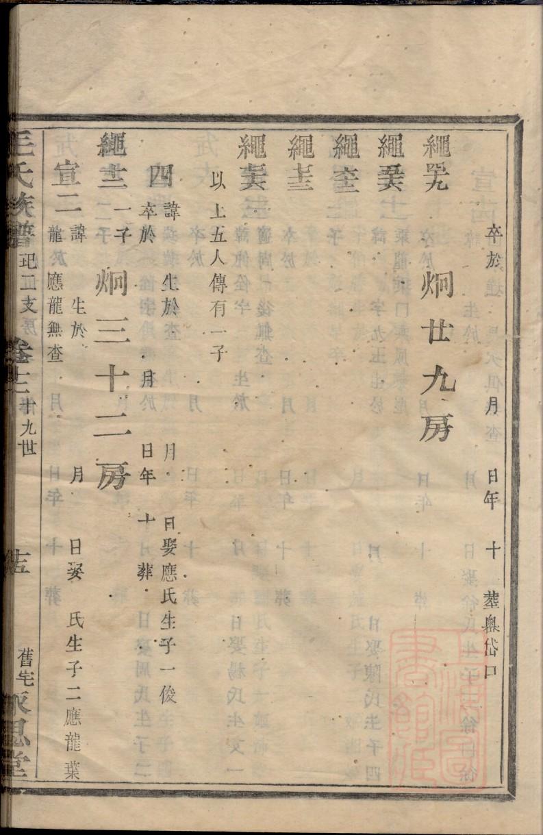 家谱族谱制作软件APP