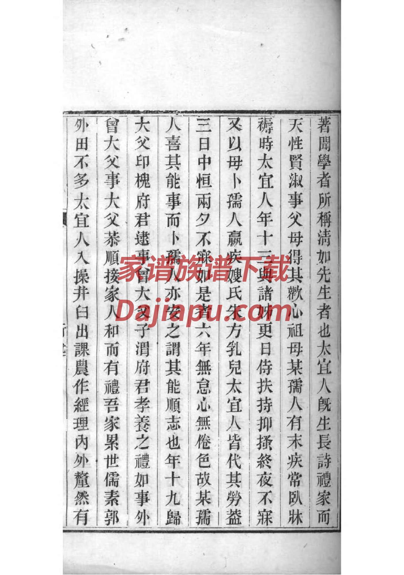 漫氏族谱在哪里看