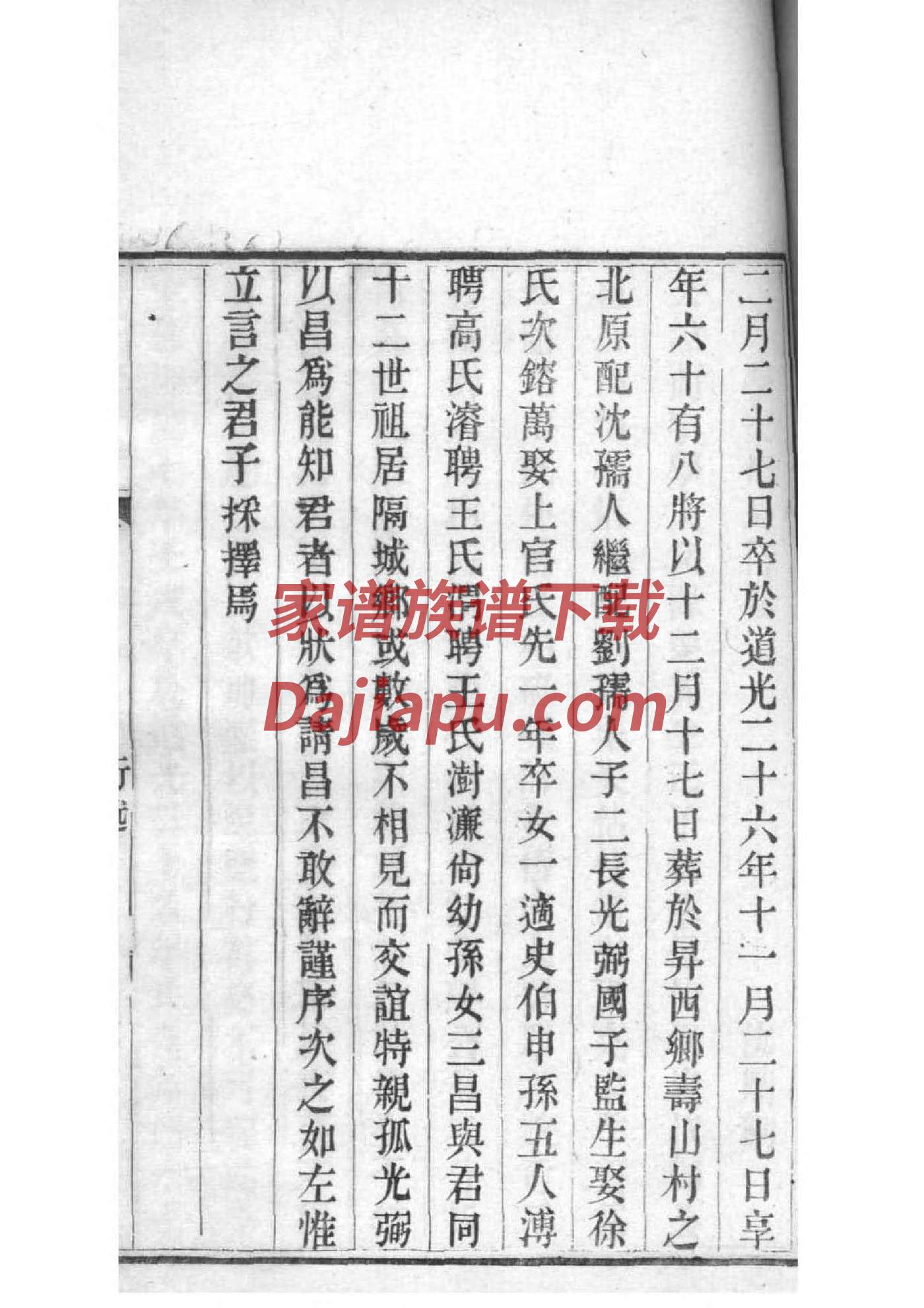磨氏家谱族谱数据库