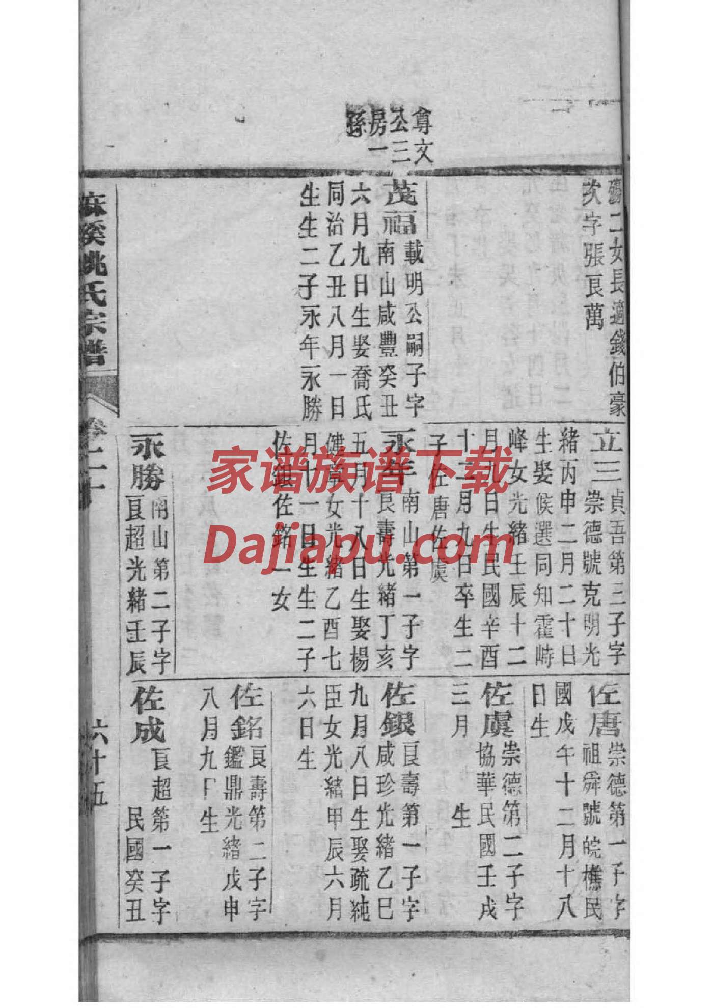 洪氏祖先是谁