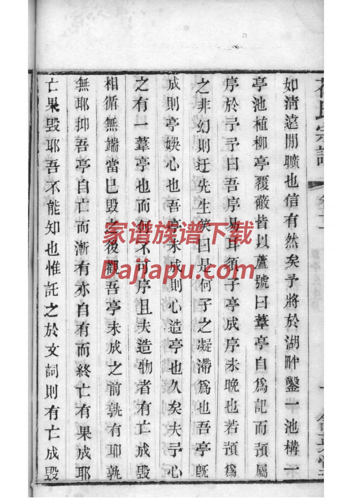 族谱图片大全