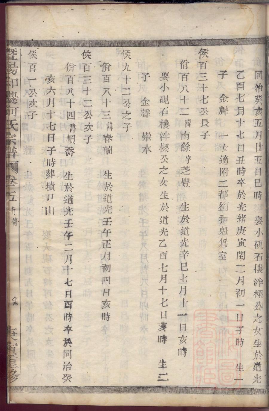 云族谱产品