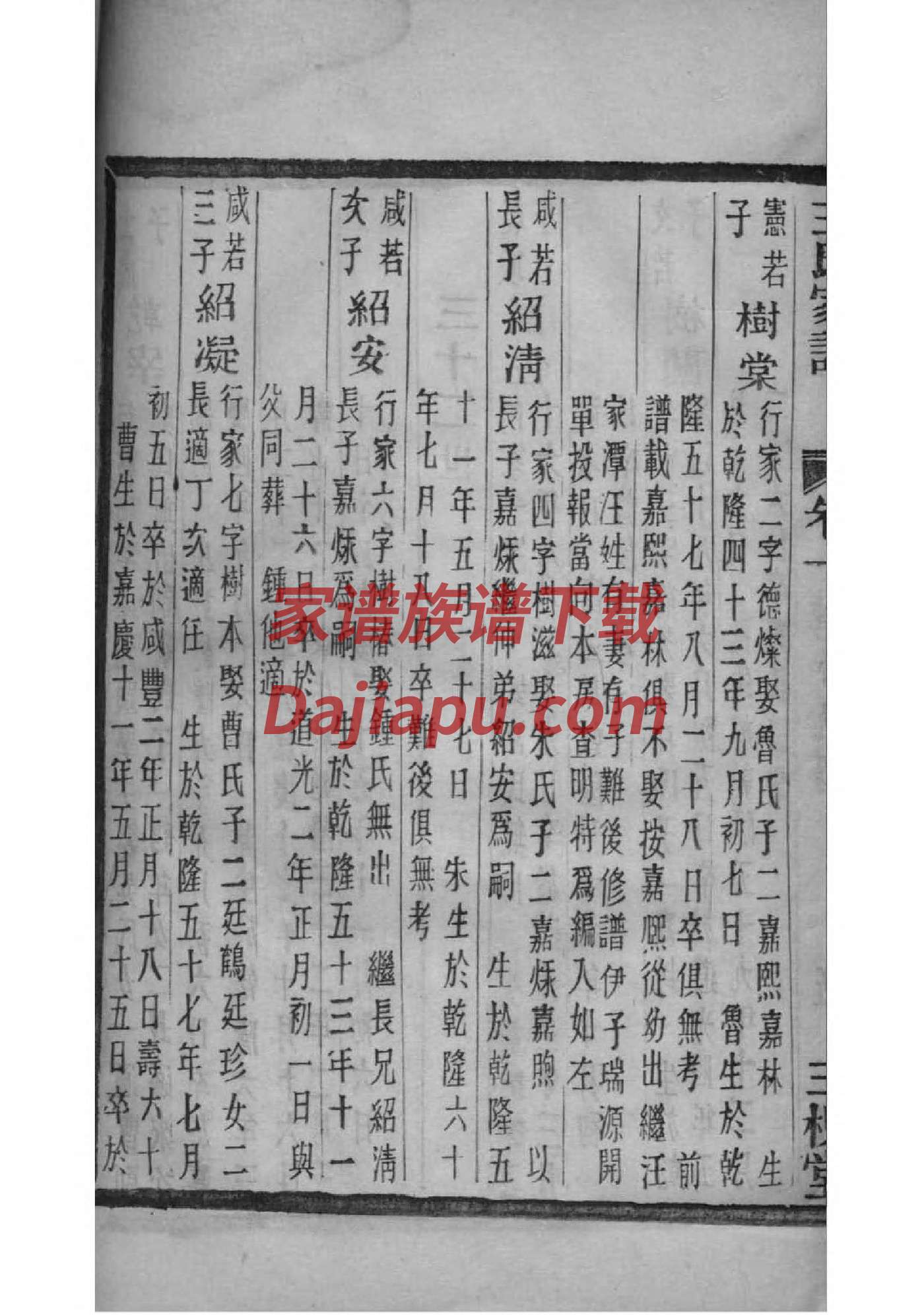 安徽合肥肥东王氏家谱