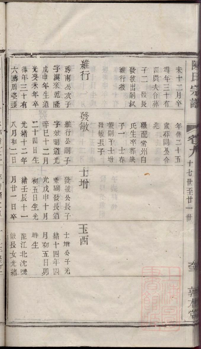 家谱图制作全过程