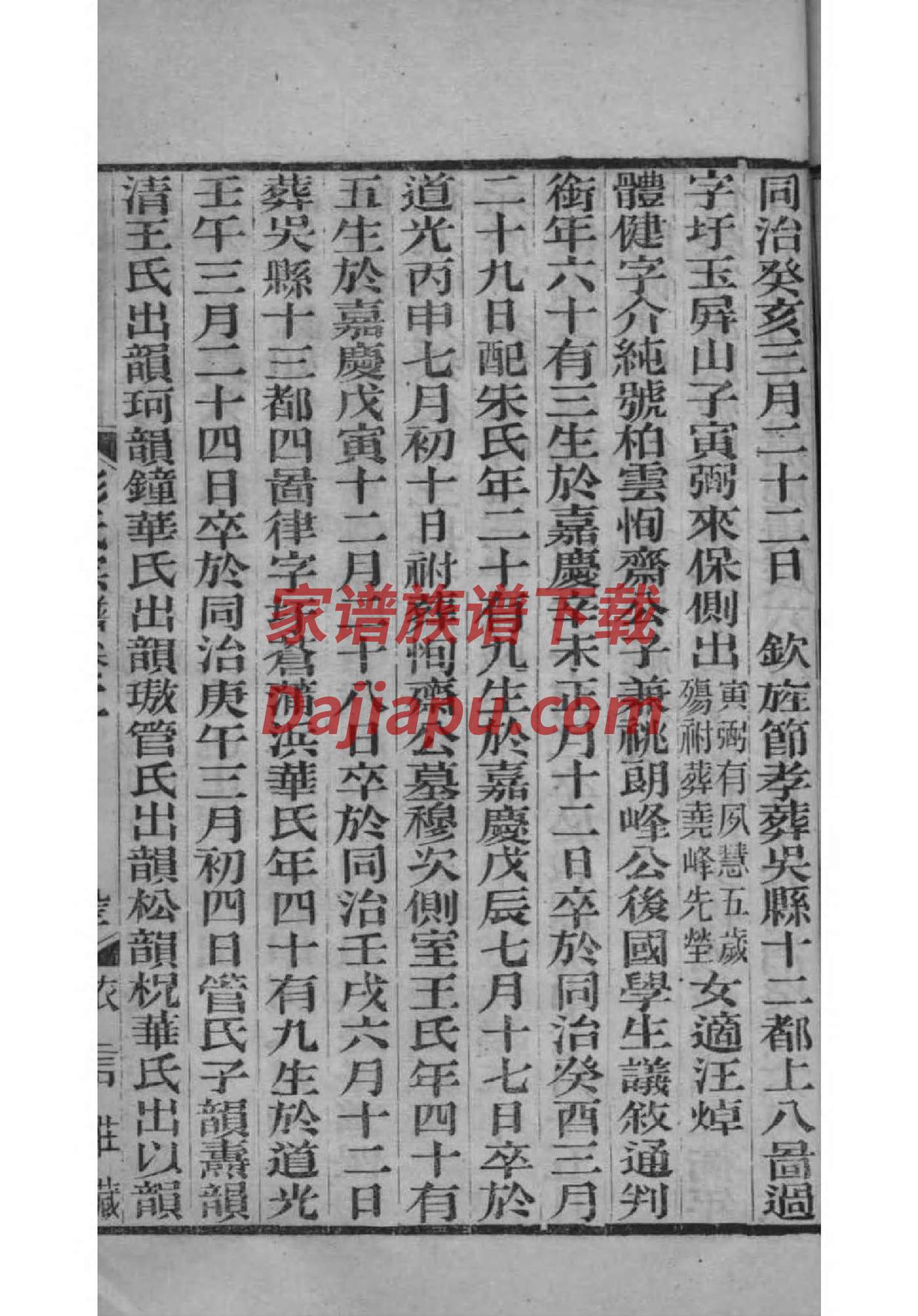 余氏族谱大全
