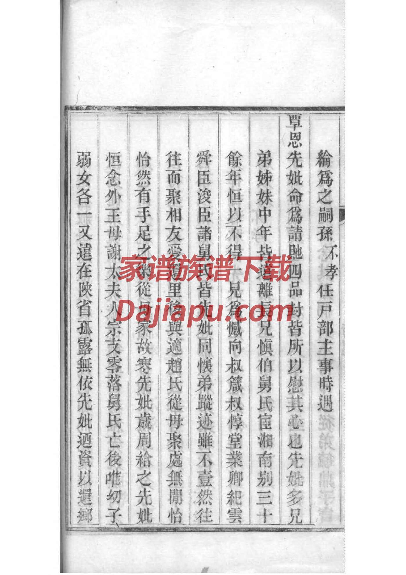 画一幅家谱图