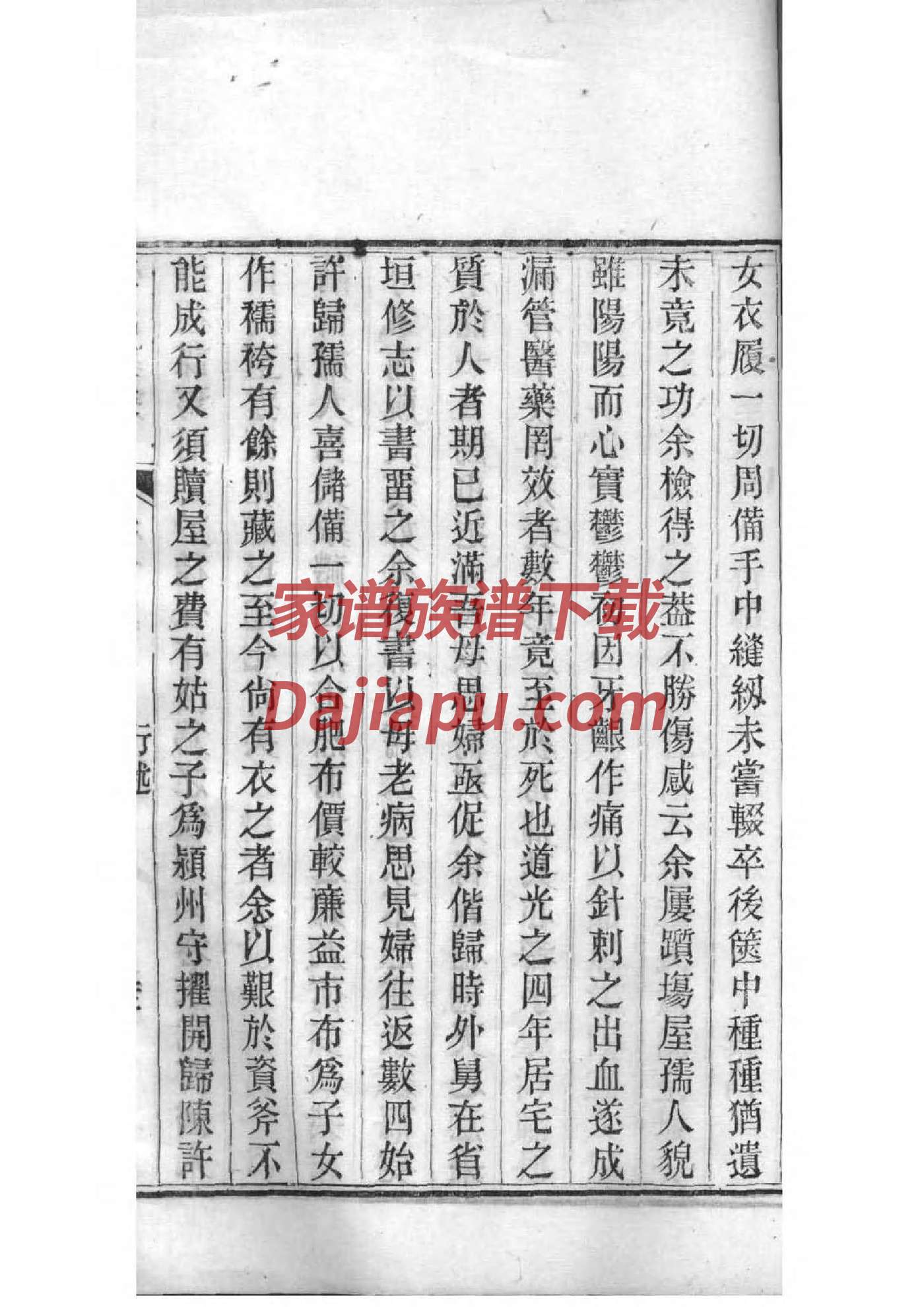 贲氏家谱族谱数据库