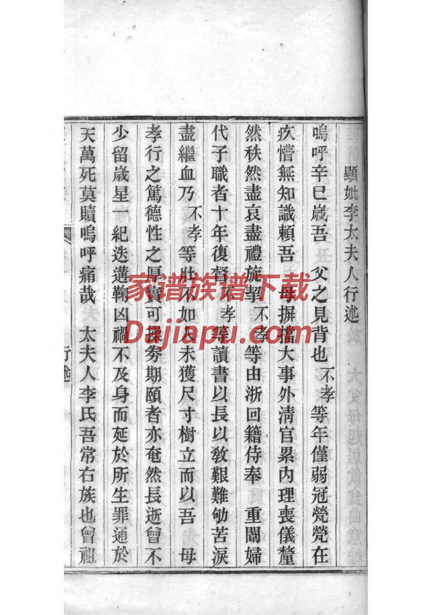 光山王氏家谱