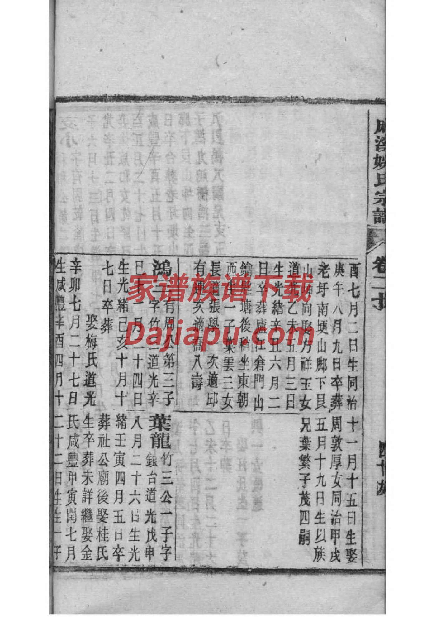 科姓免费查自己家谱