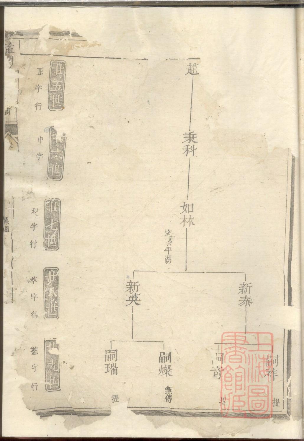 疏姓的来源和历史