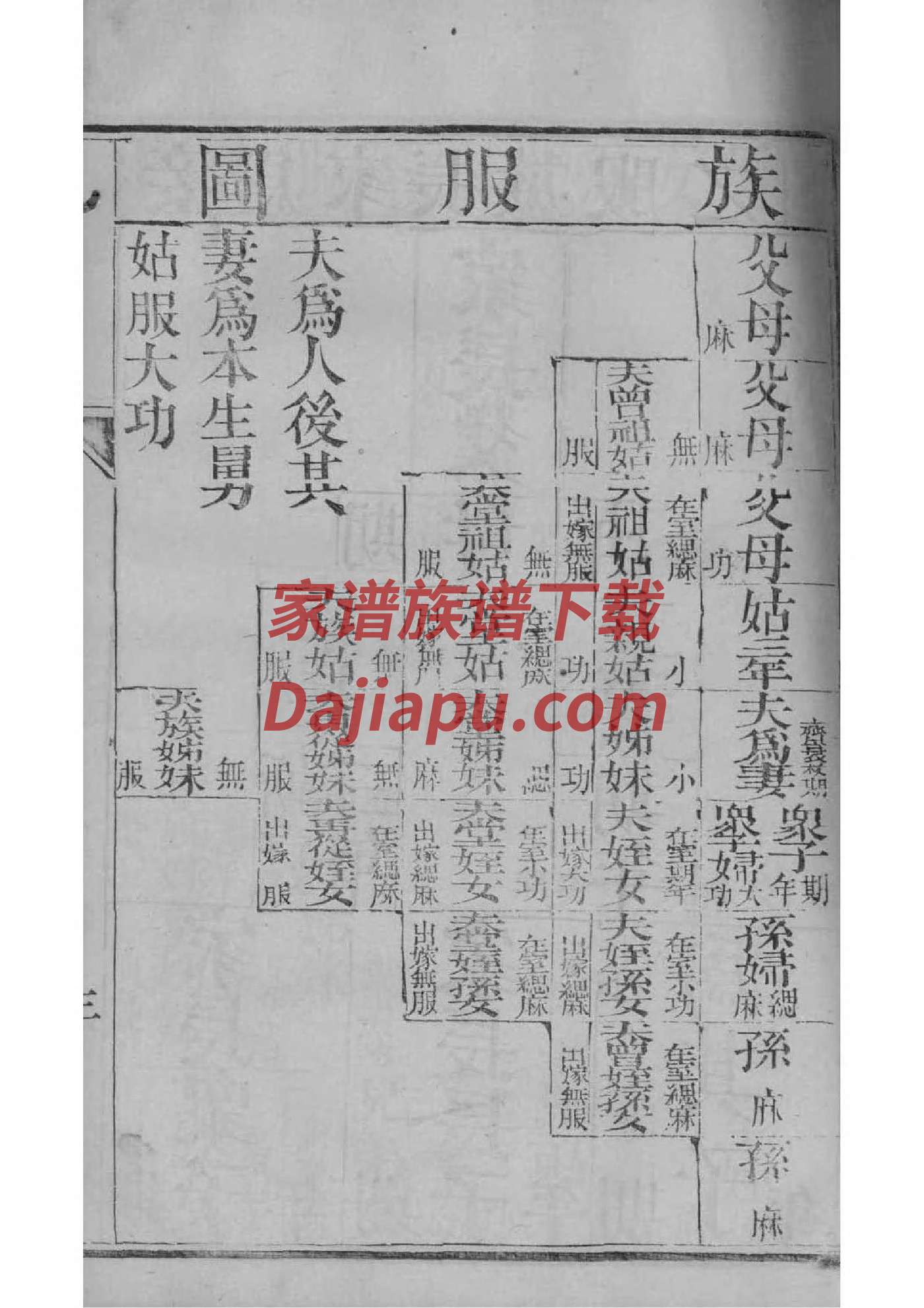 求家谱调查表