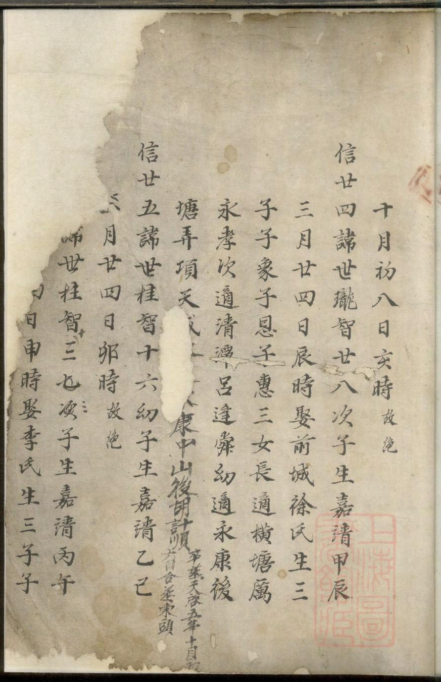 口袋家谱