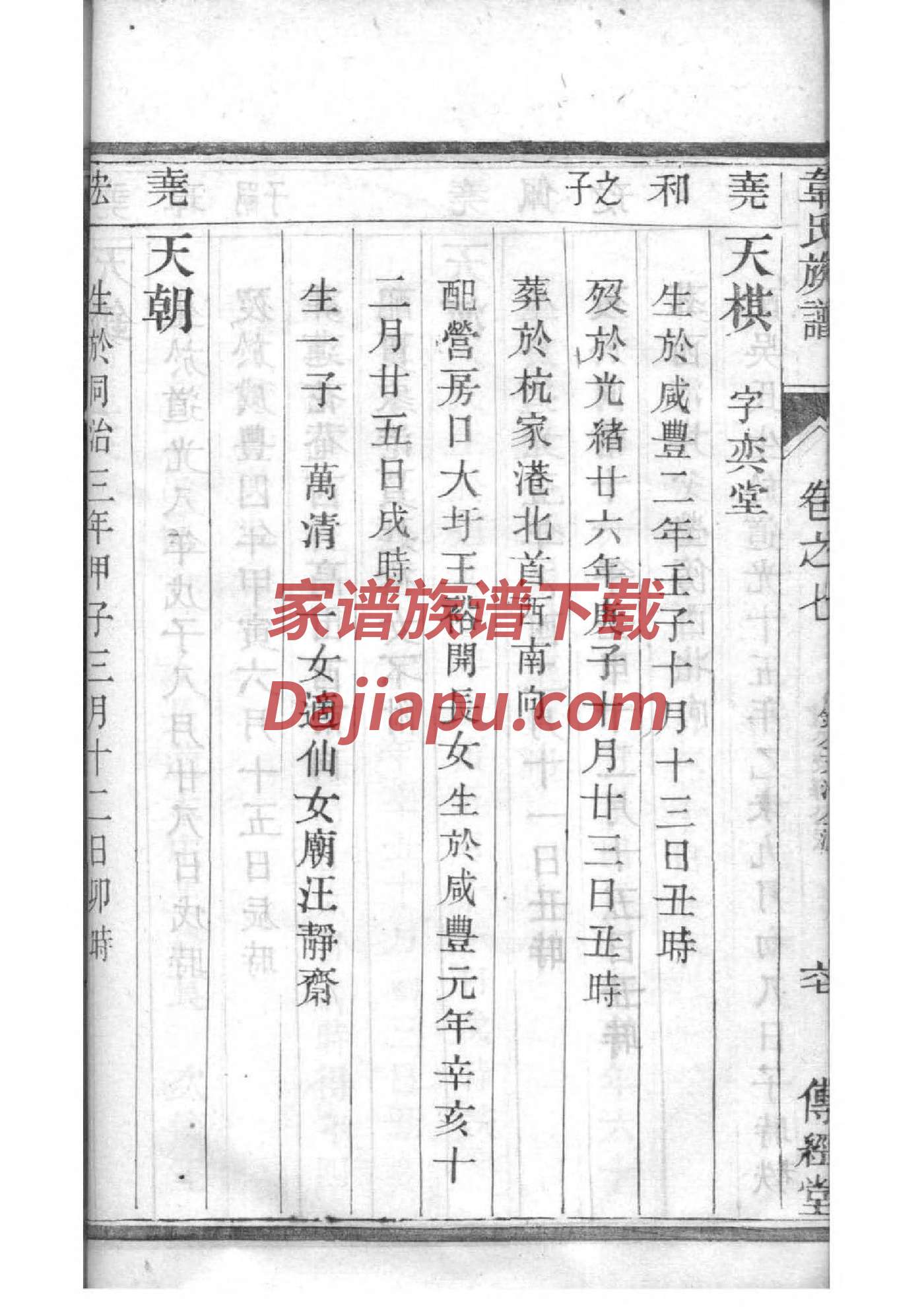 家谱WORD范本