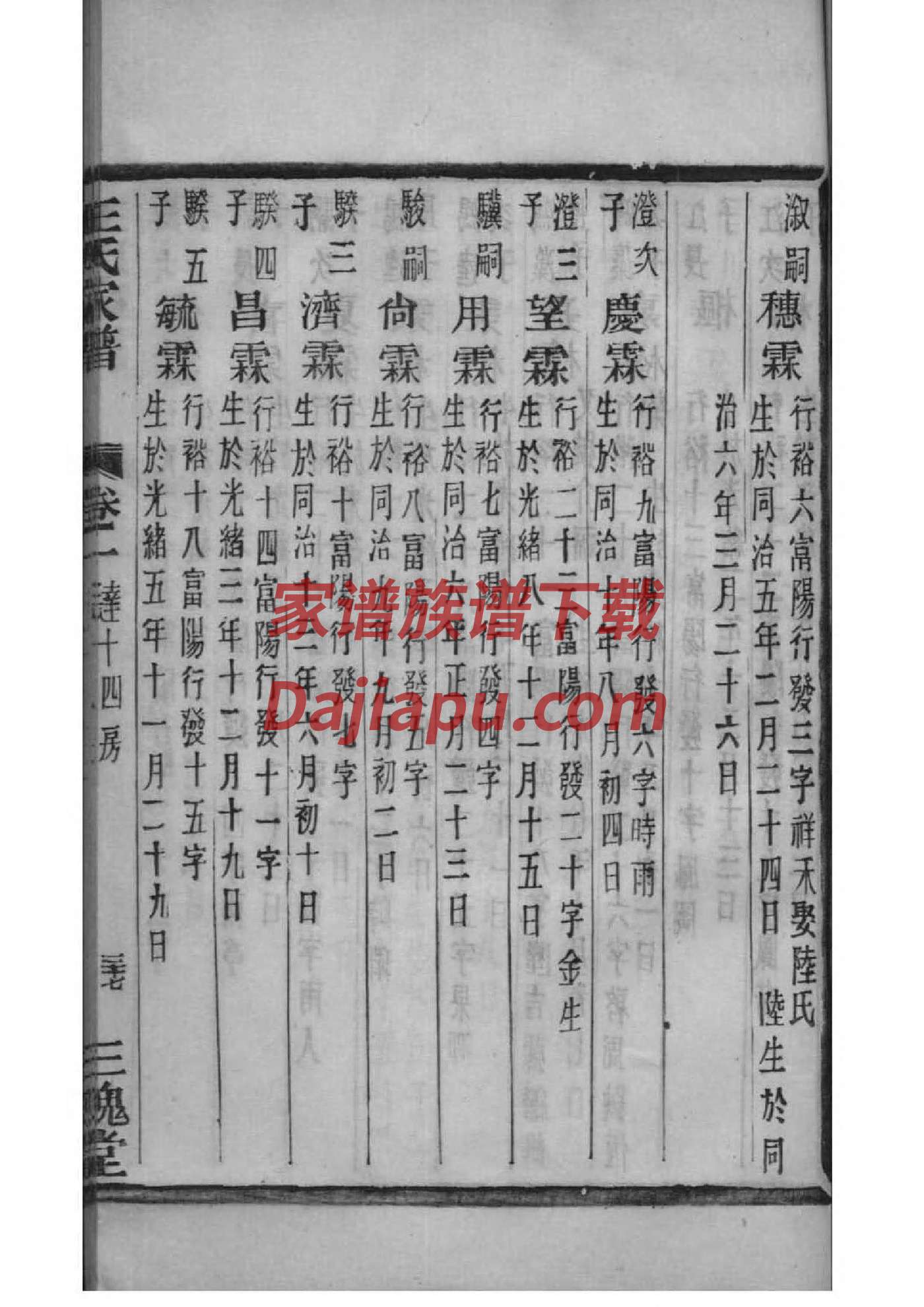 家谱数据库设计