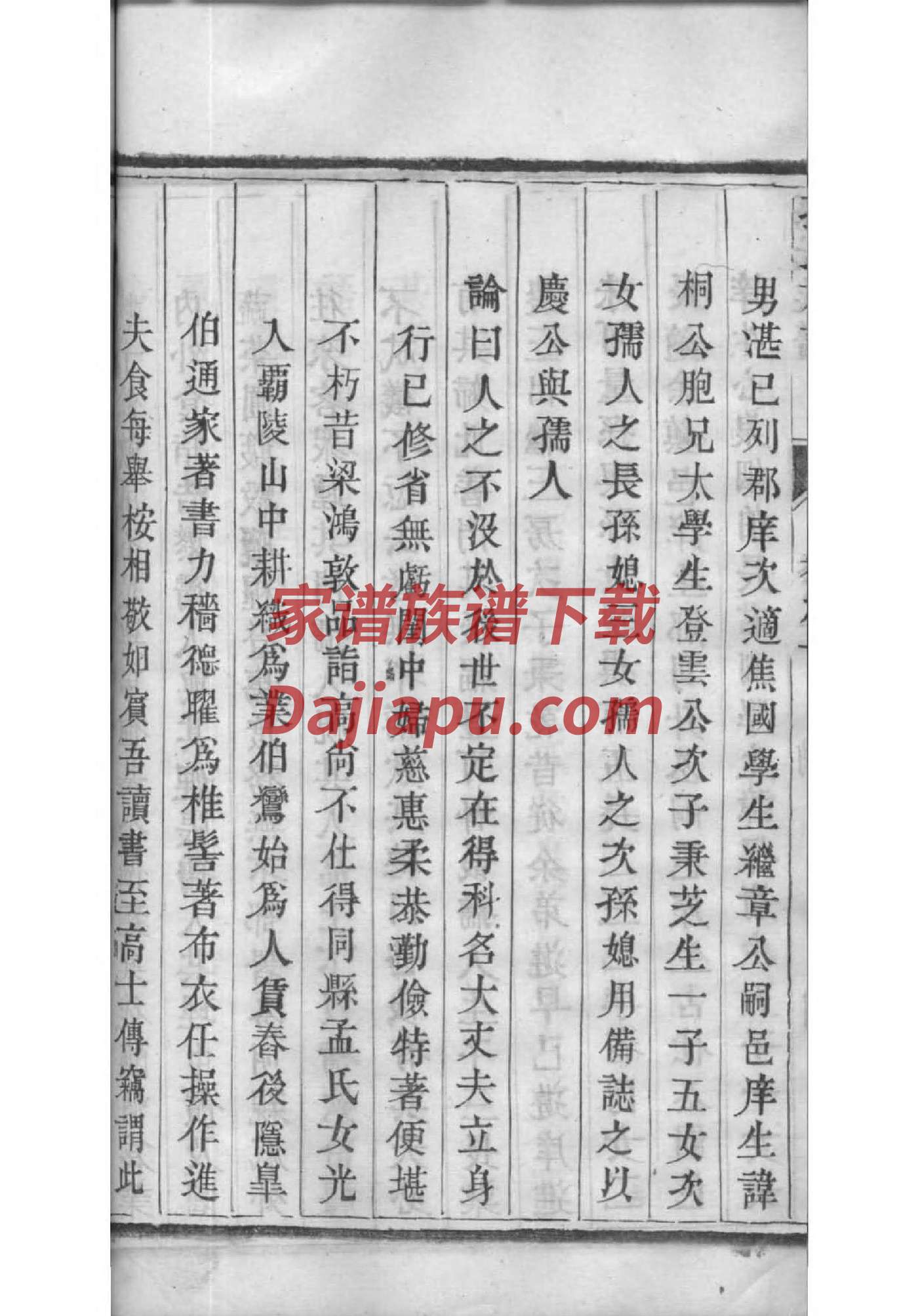 家谱怎么写