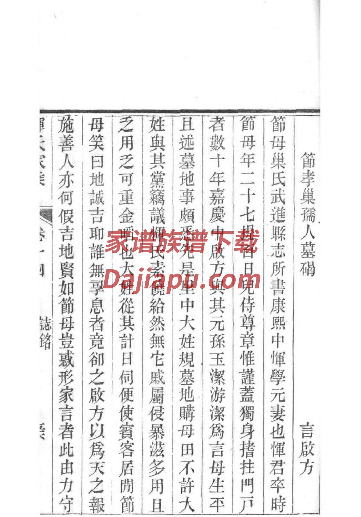 族记家谱软件