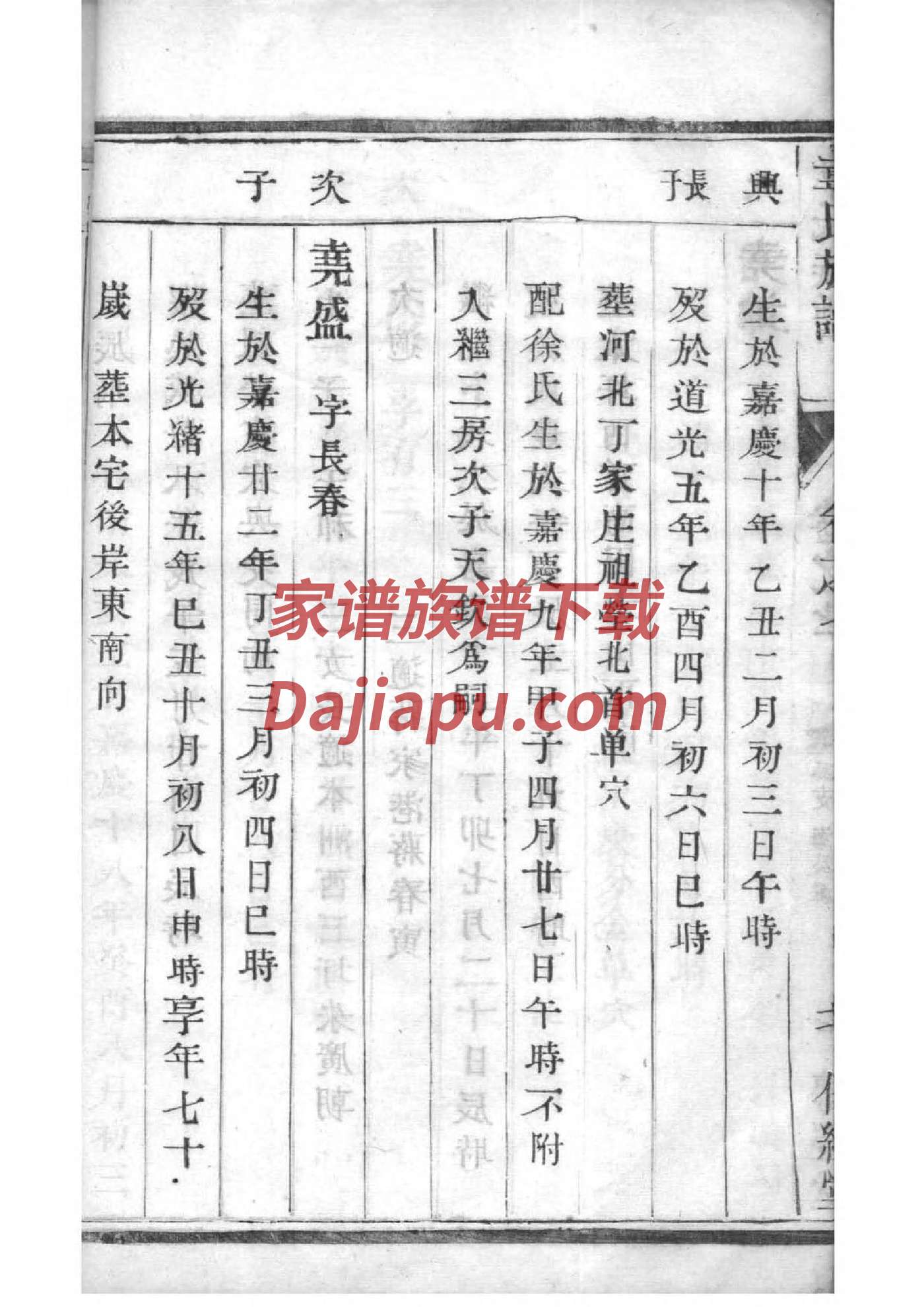 虎姓辈分排行世系表
