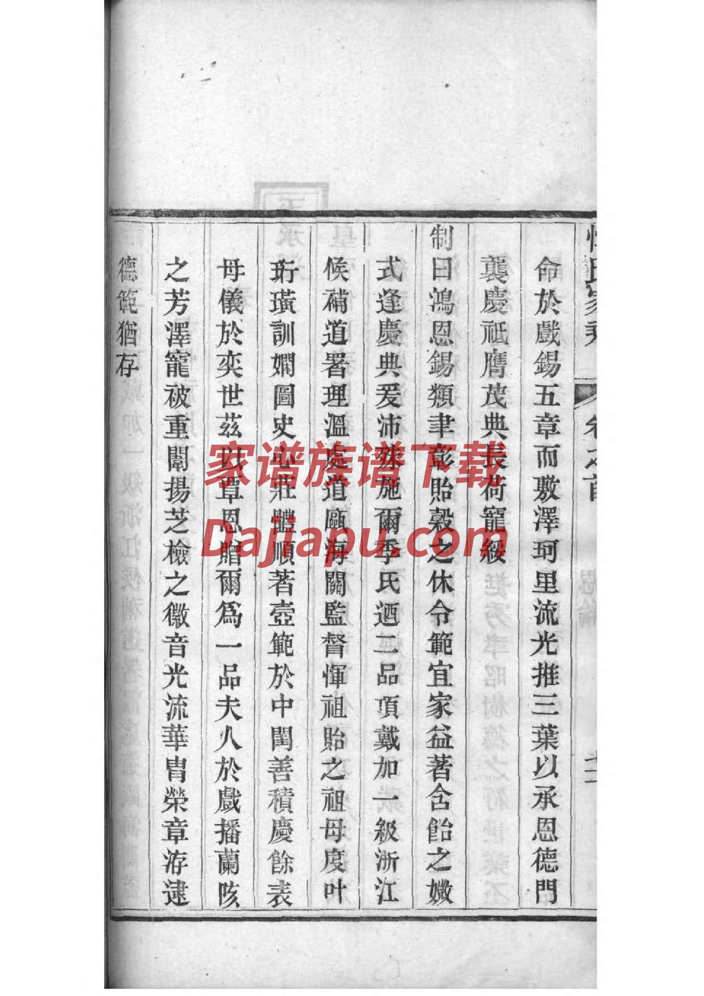 野姓族谱字辈大全