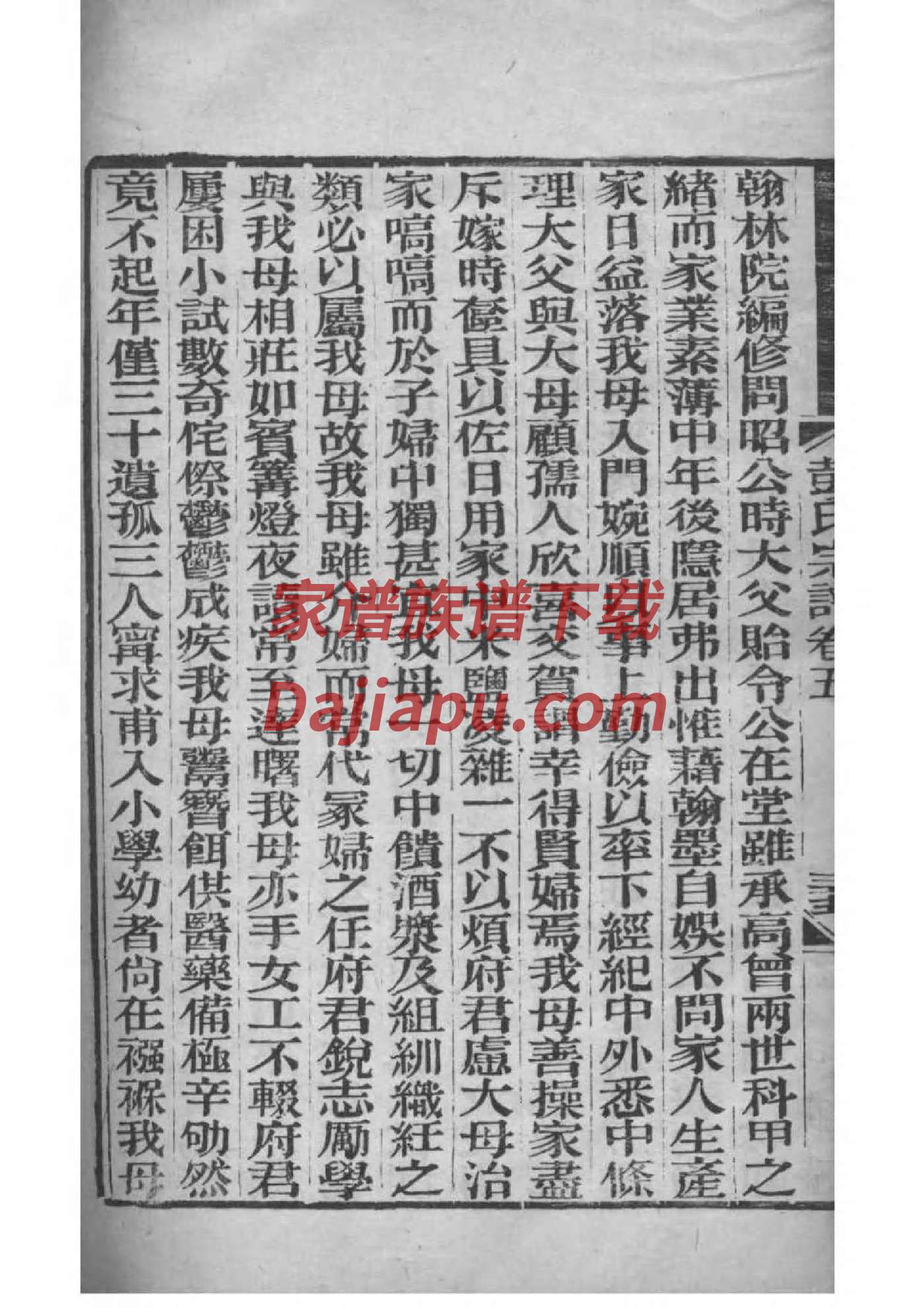 家谱管理软件