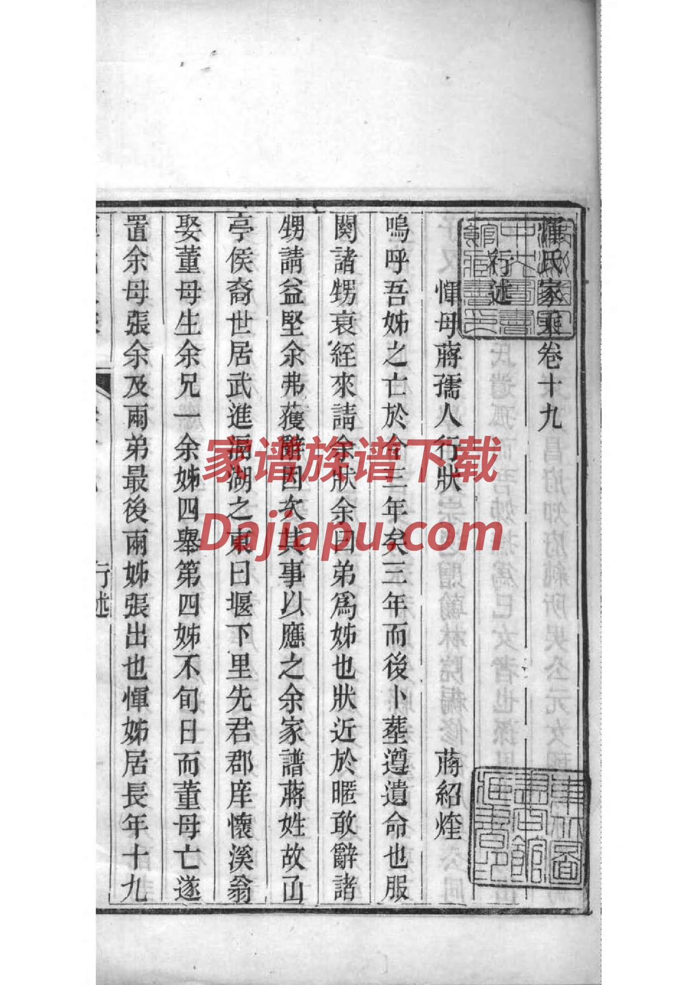贰氏族谱在哪里看