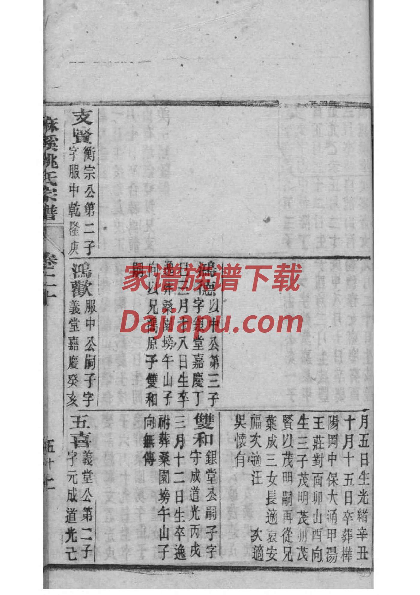 家谱尺寸