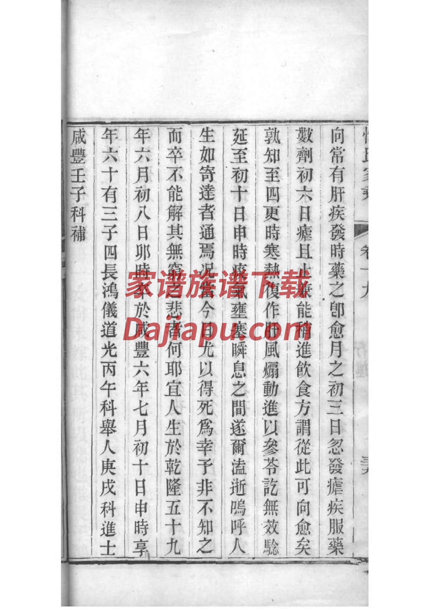 刘氏家谱排版