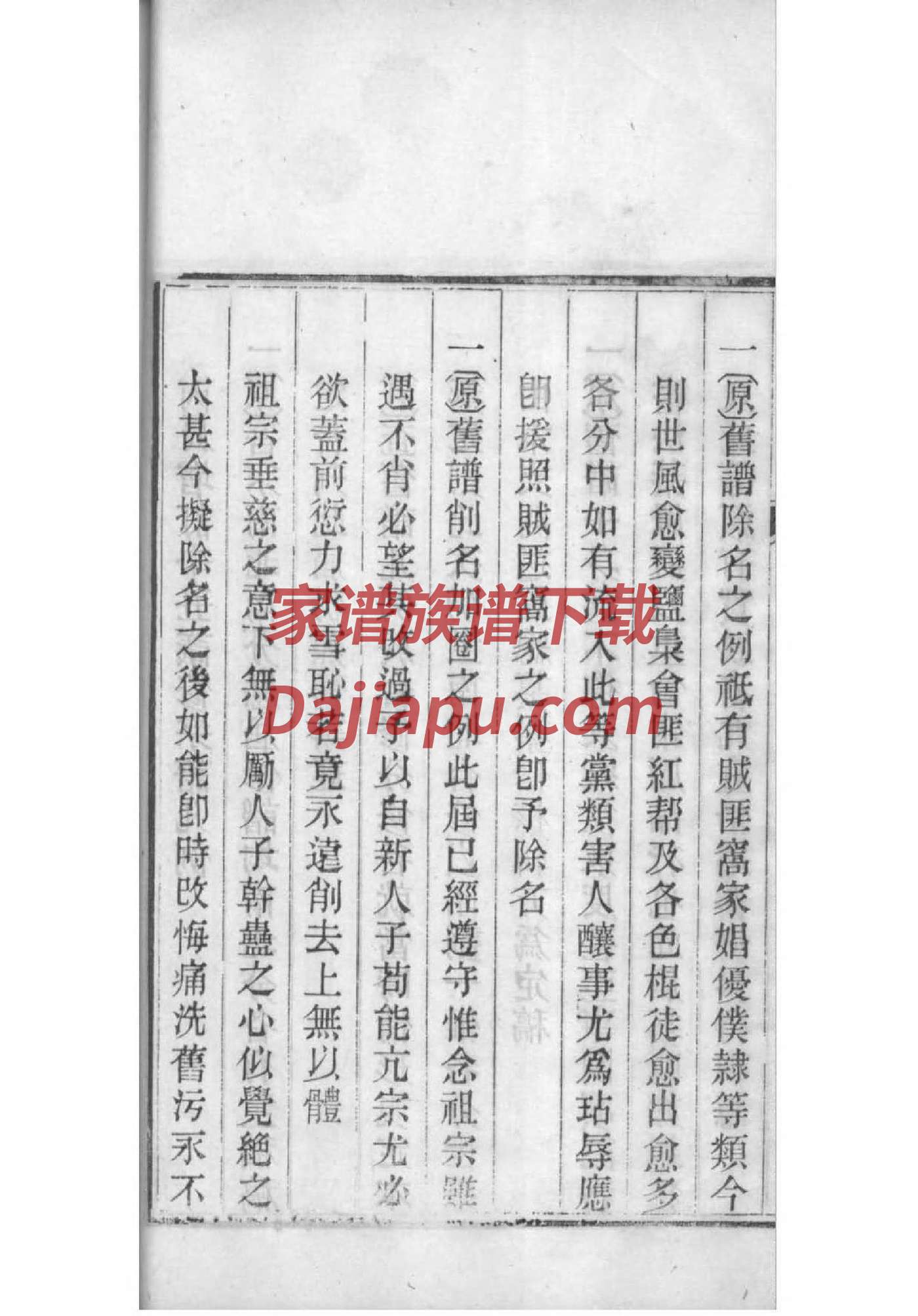 速姓辈分排行世系表