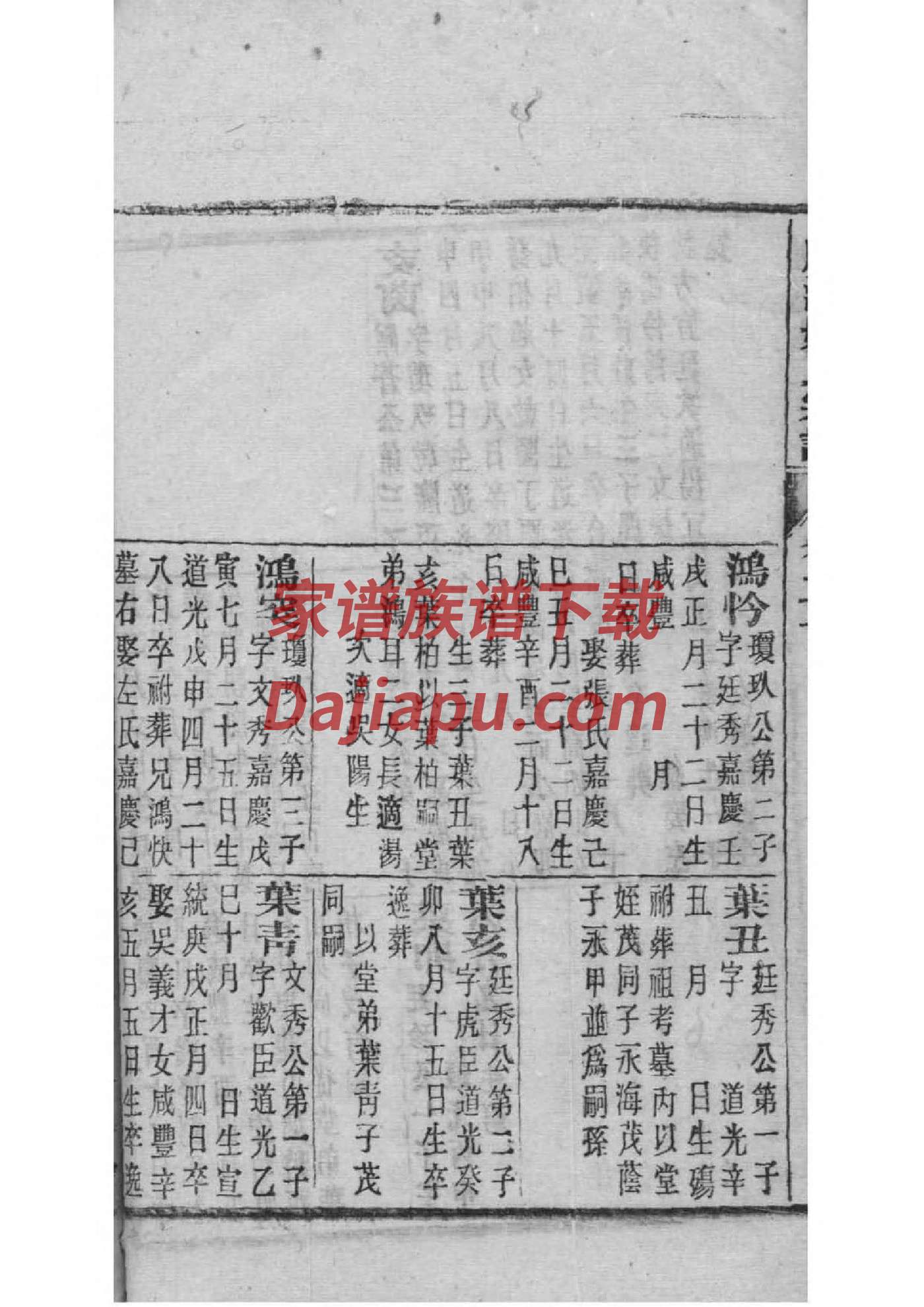 徐姓家谱24辈循环使用