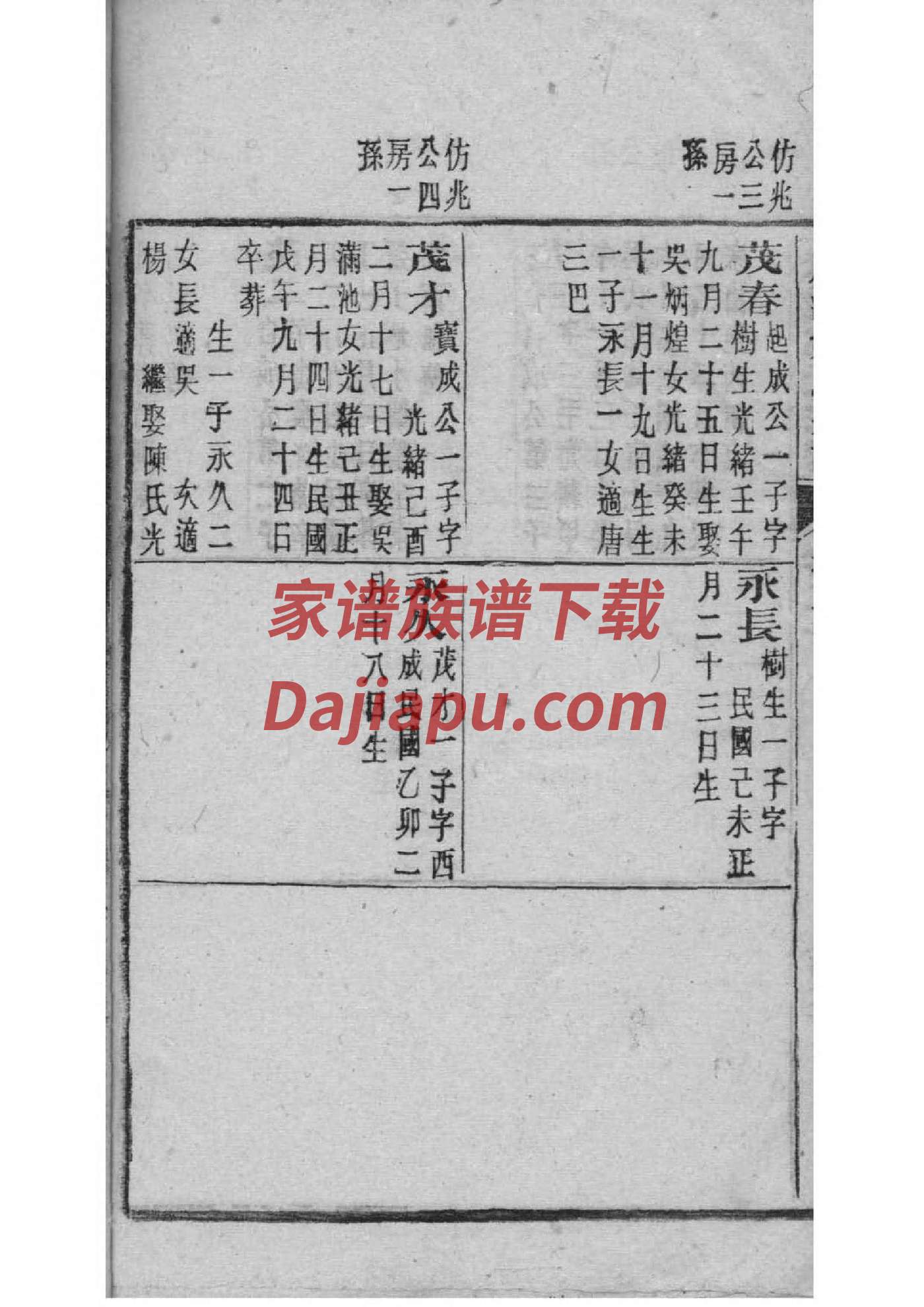 庄坞杨氏家谱