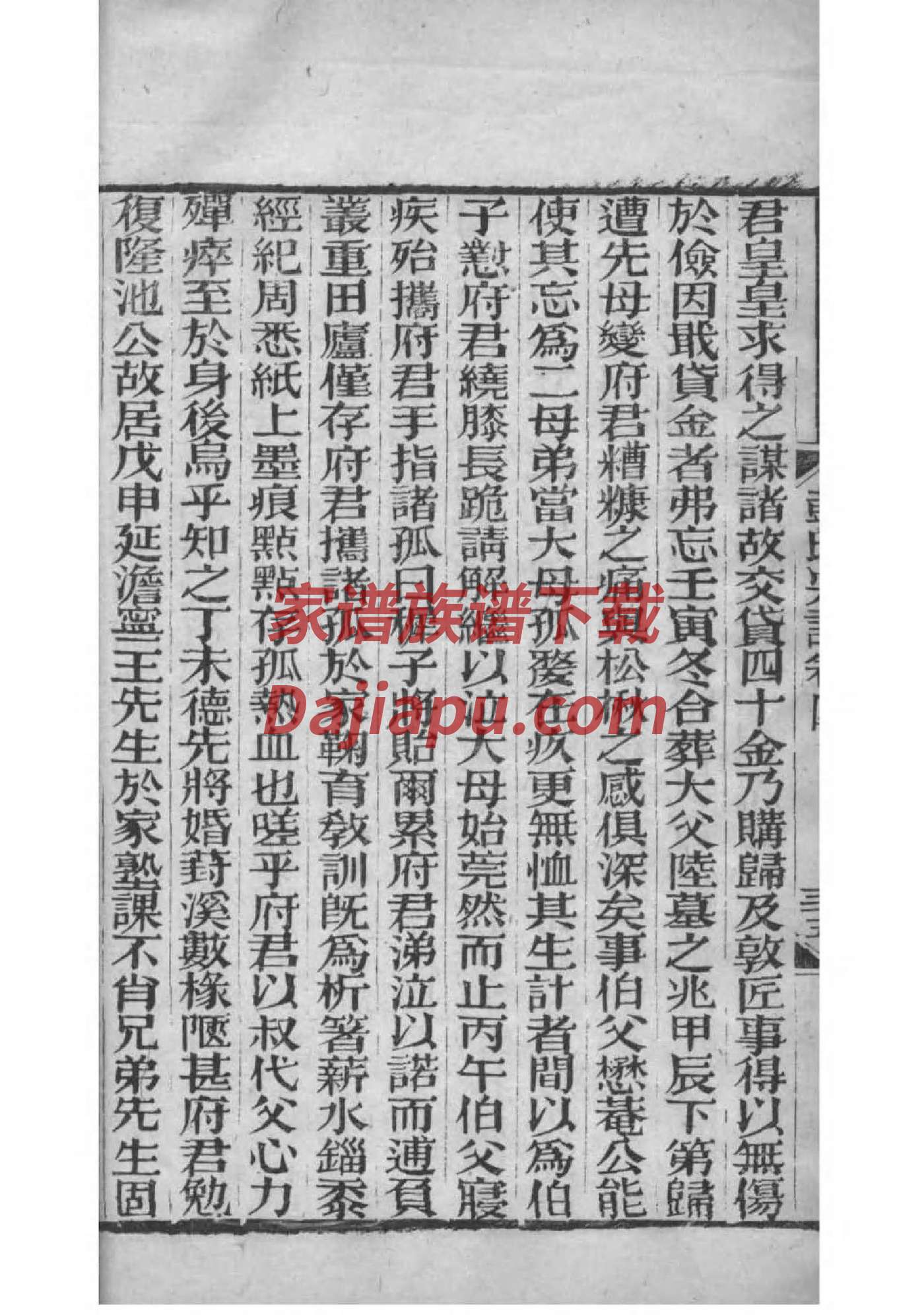 电子家谱族谱图片