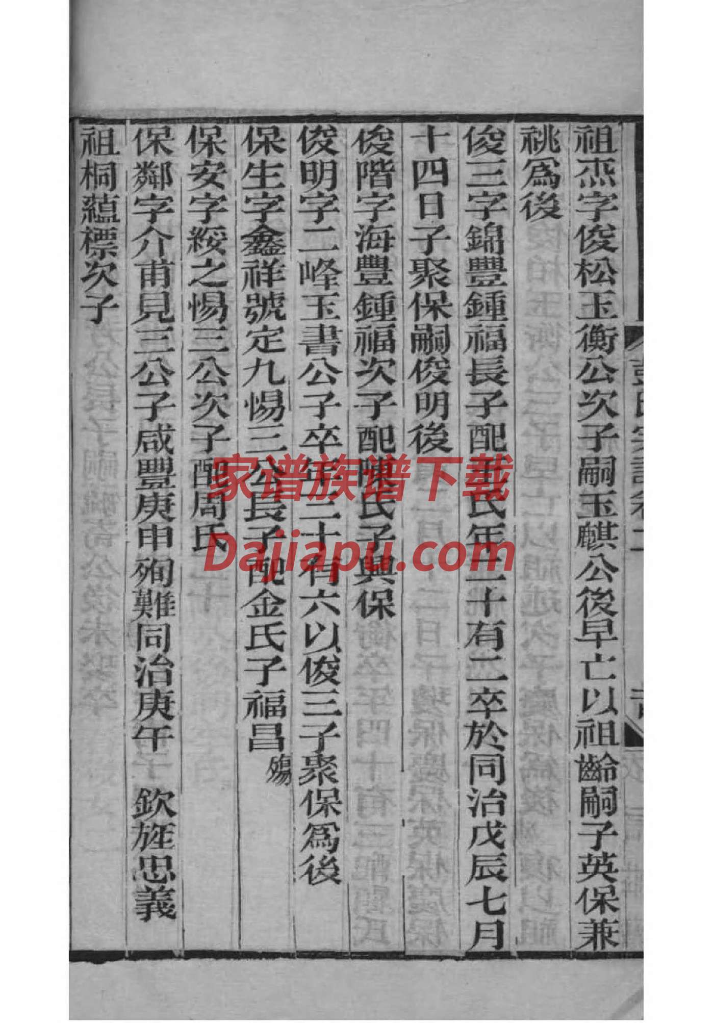 用WORD做家谱
